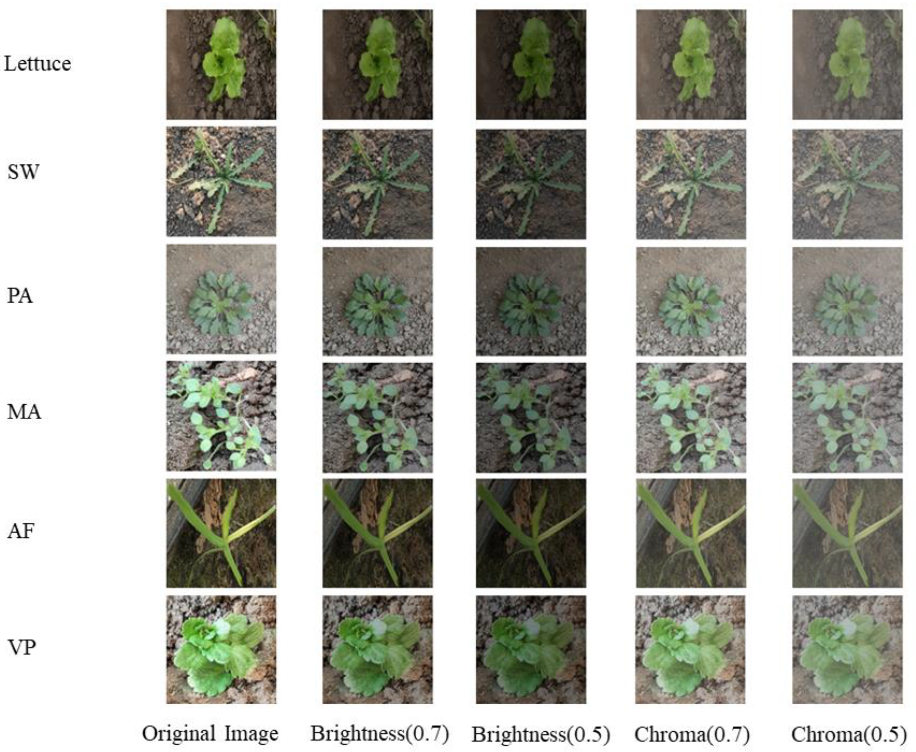 Agronomy 13 02915 g002