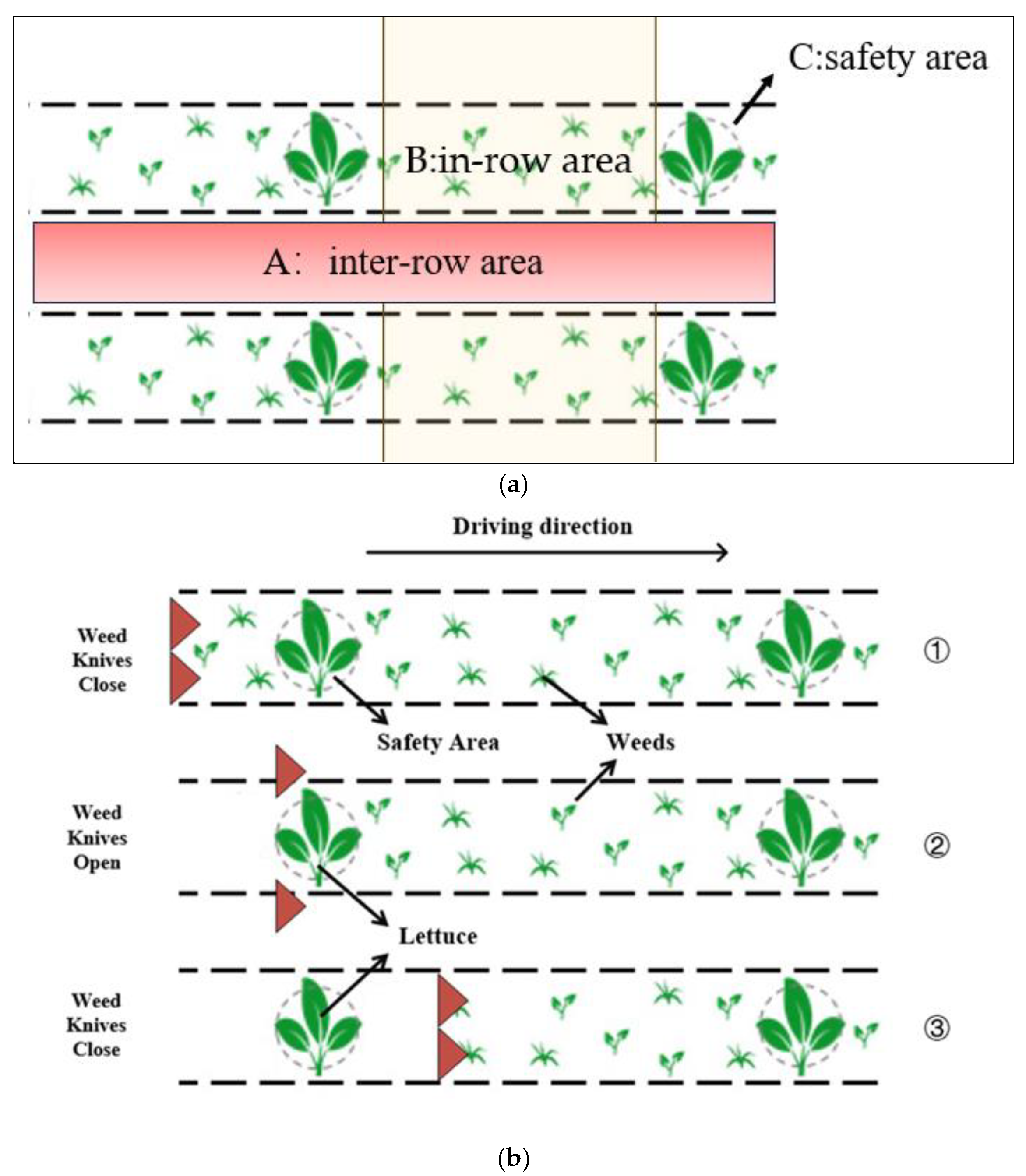 Agronomy 13 02915 g008