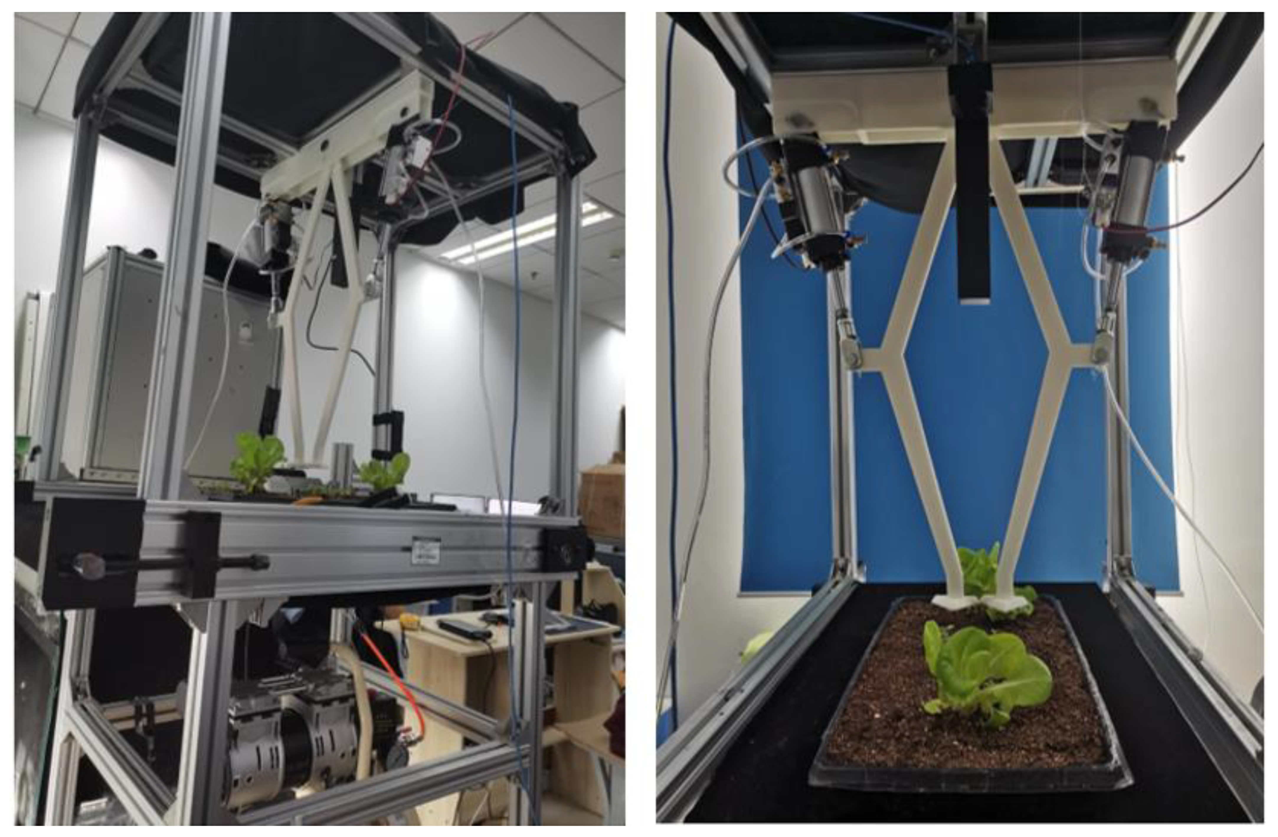 Agronomy 13 02915 g010