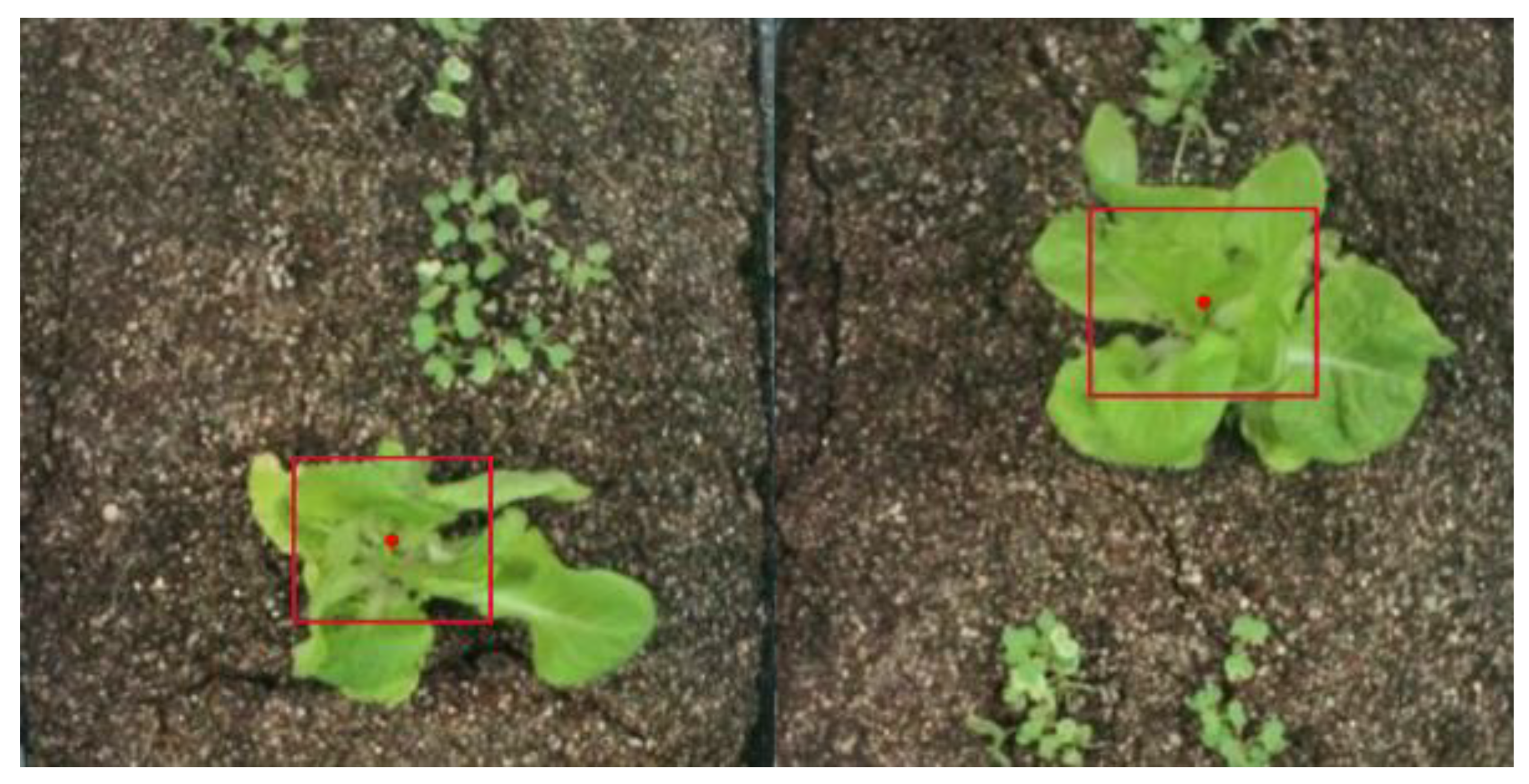 Agronomy 13 02915 g013