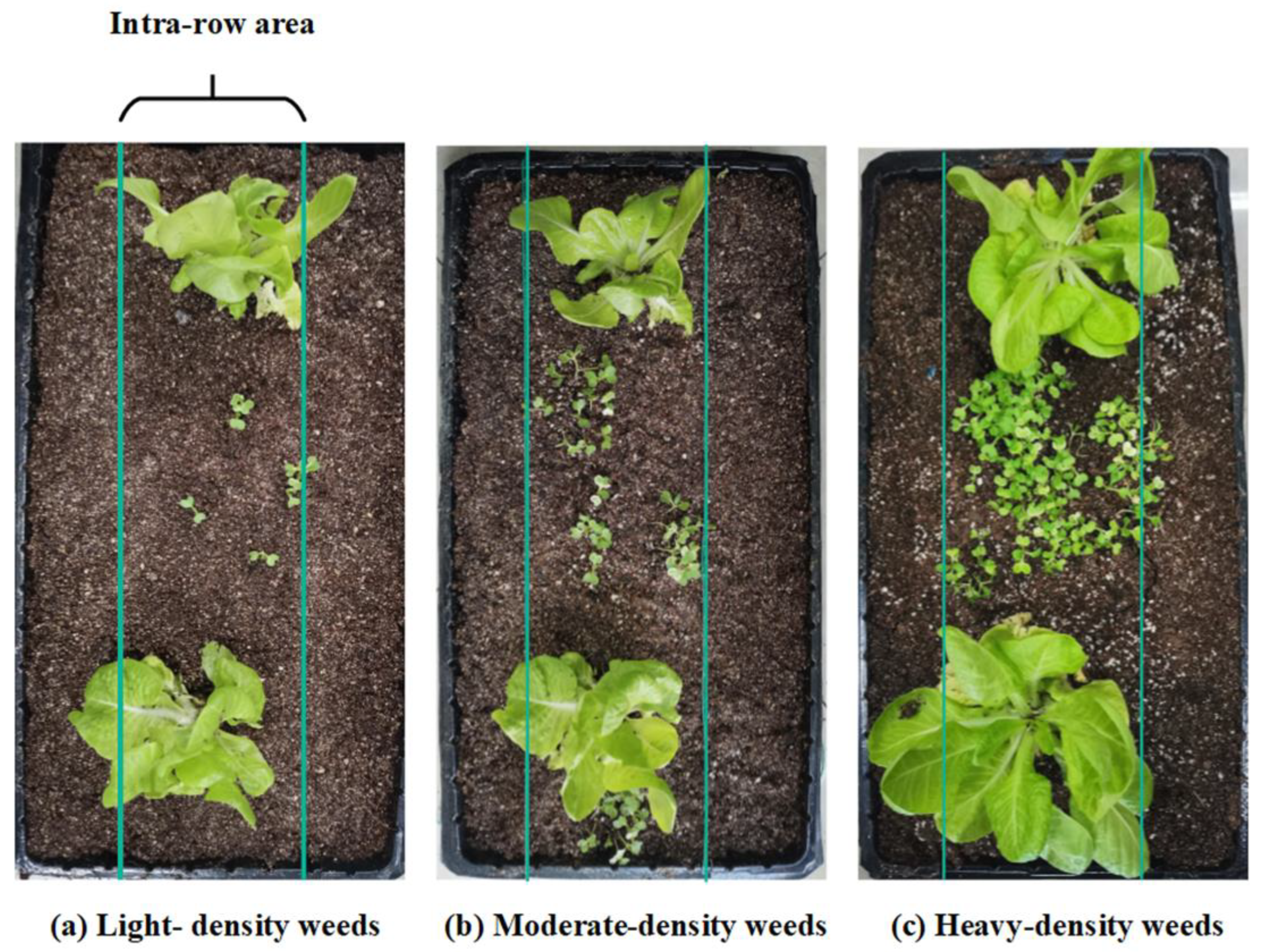 Agronomy 13 02915 g014