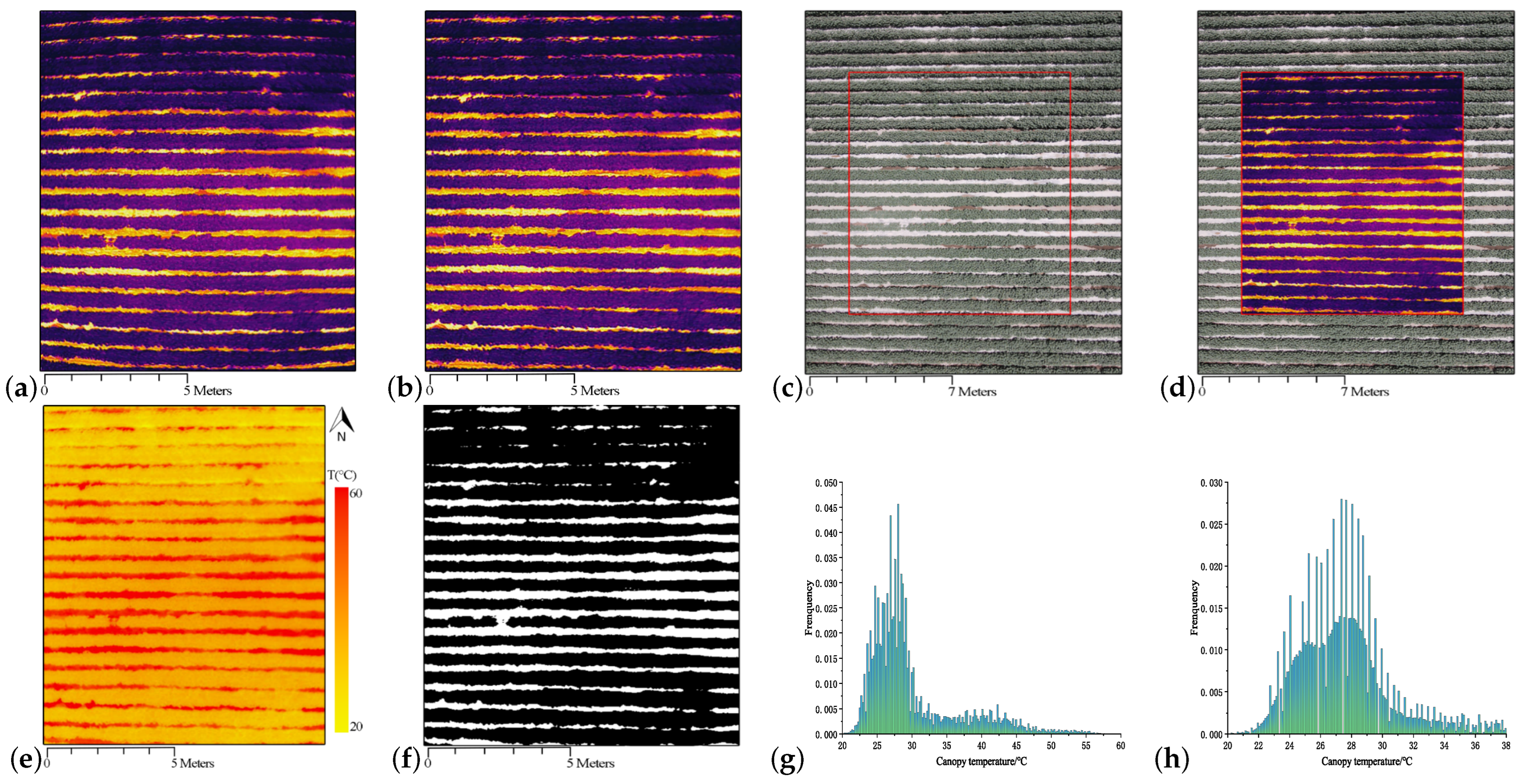 Agronomy 13 02929 g002