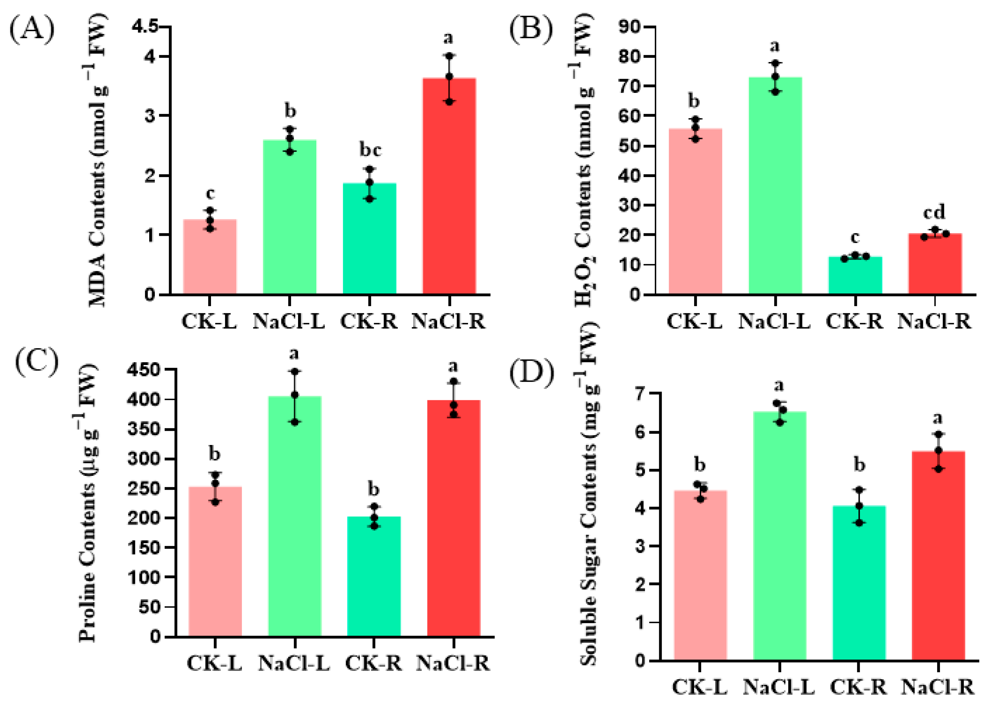 Agronomy 13 02931 g001