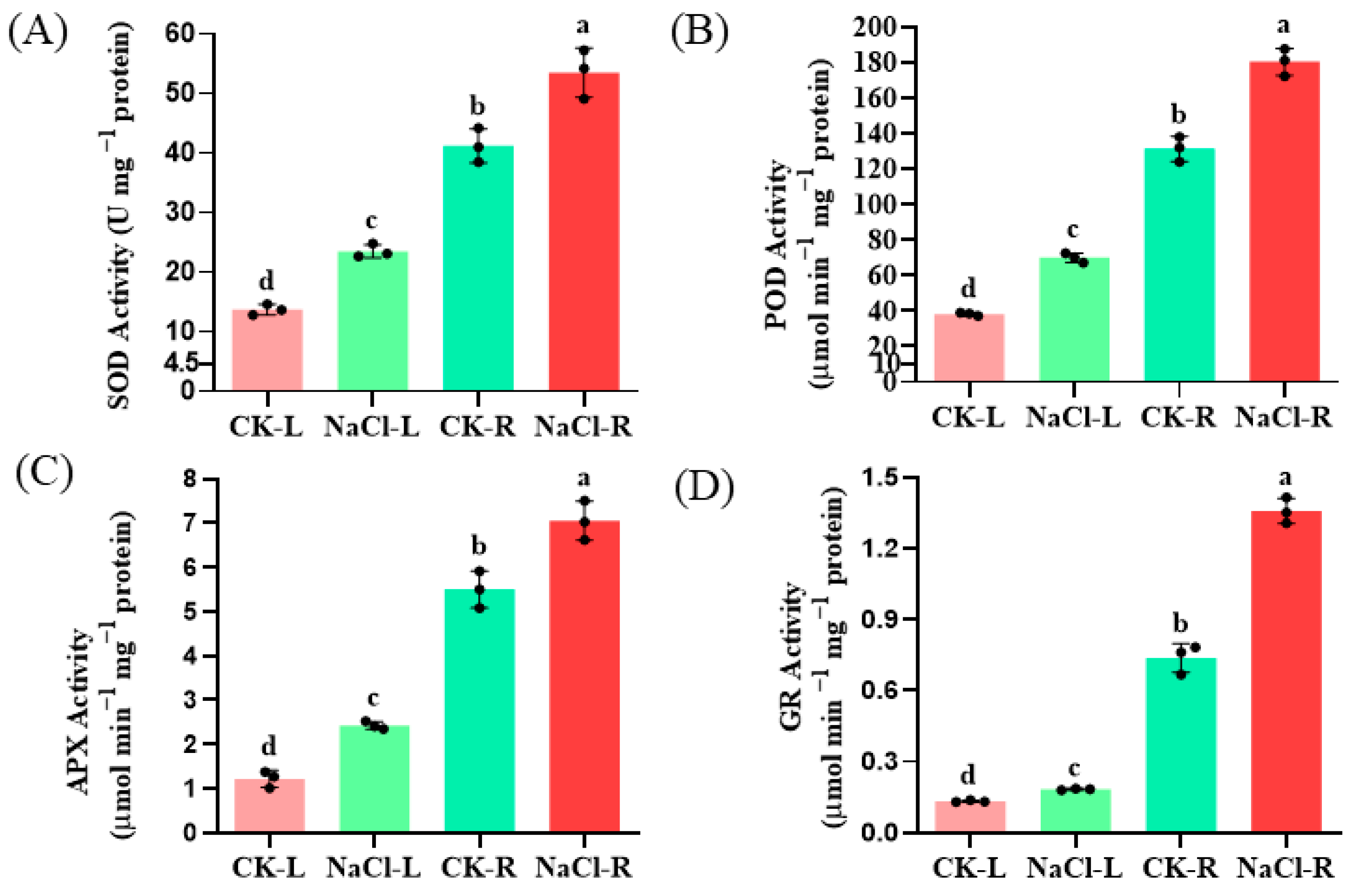 Agronomy 13 02931 g002