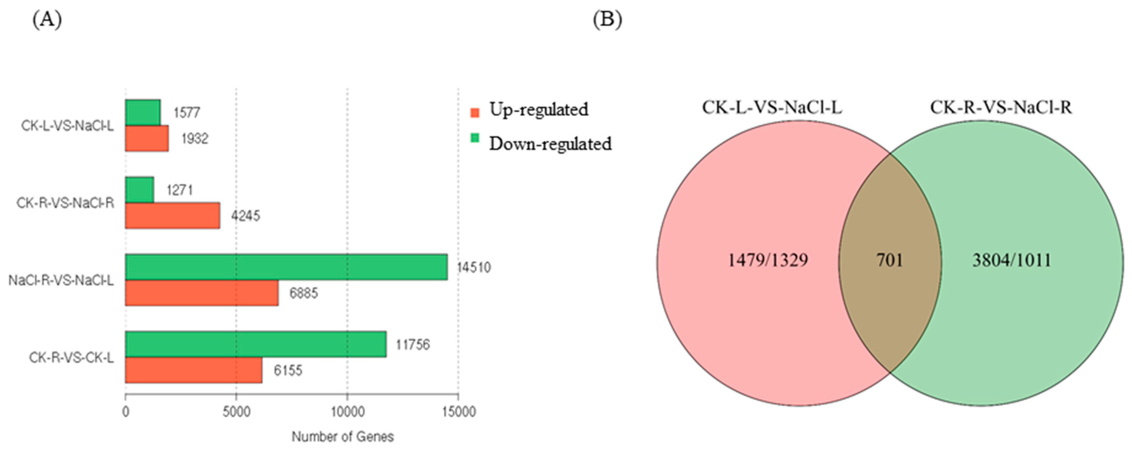 Agronomy 13 02931 g004