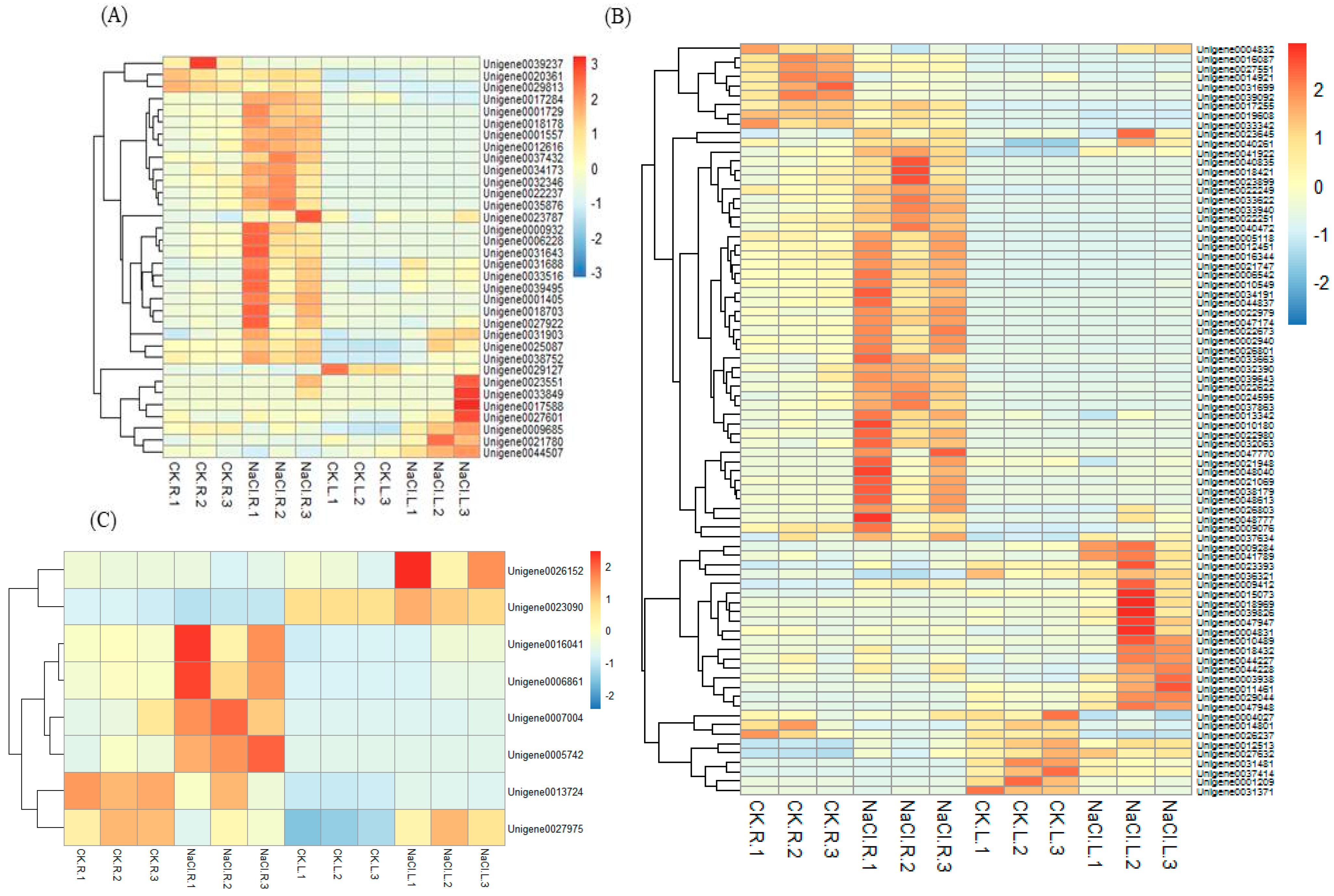 Agronomy 13 02931 g005