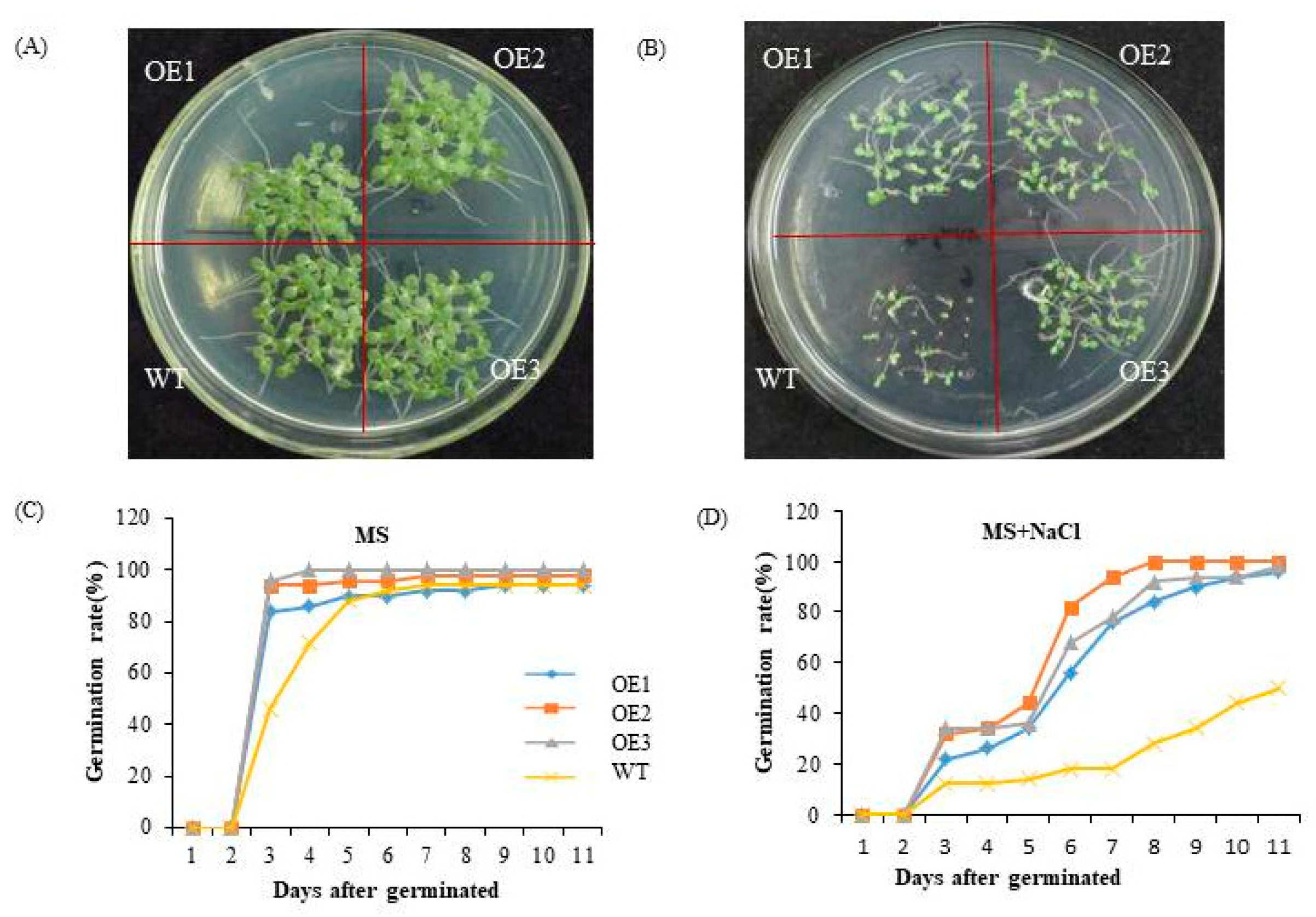 Agronomy 13 02931 g007