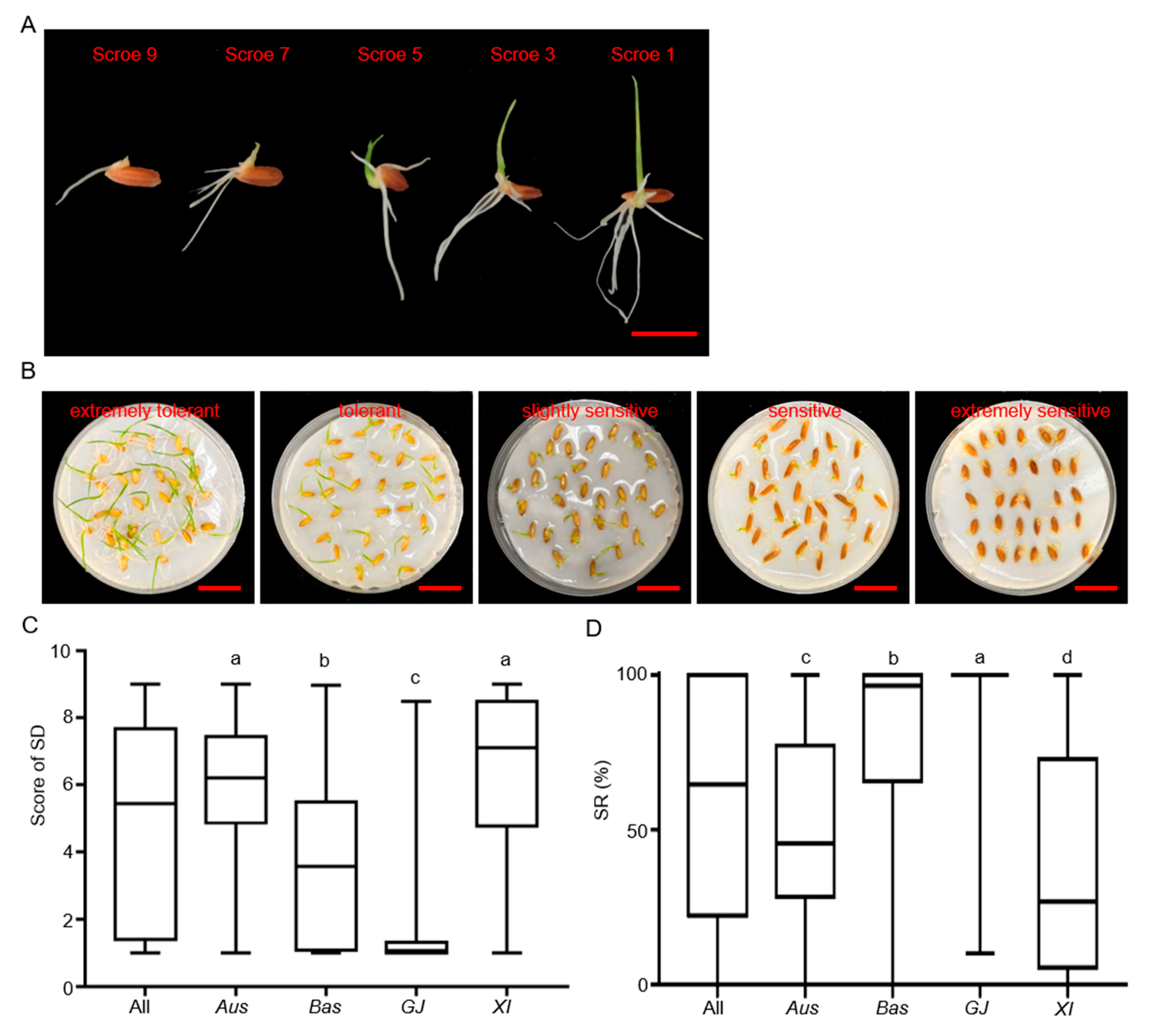 Agronomy 13 02945 g001