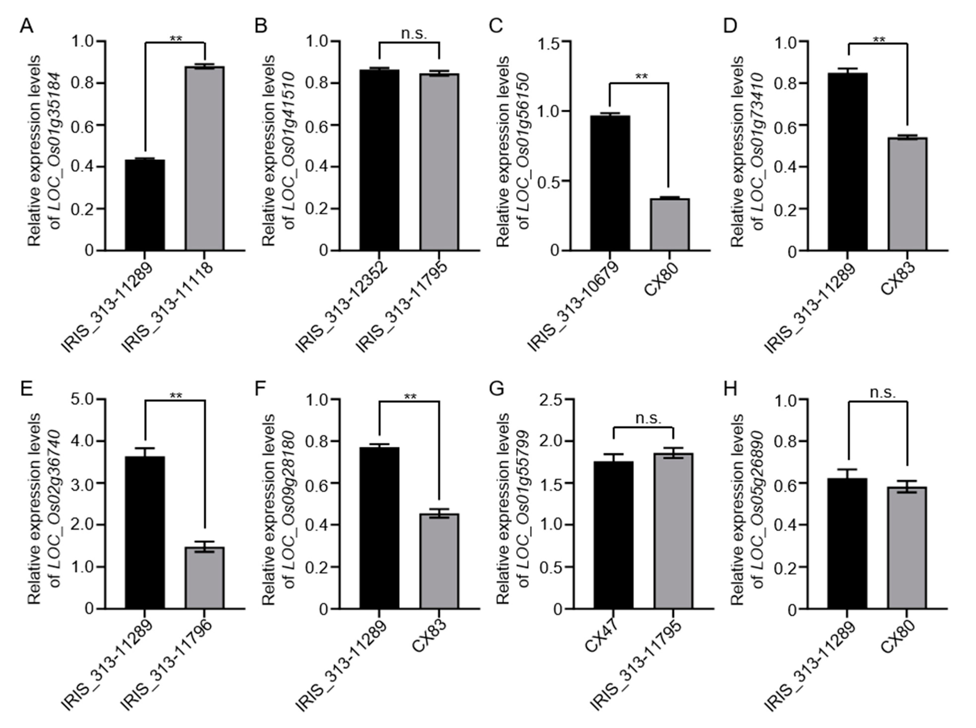 Agronomy 13 02945 g003