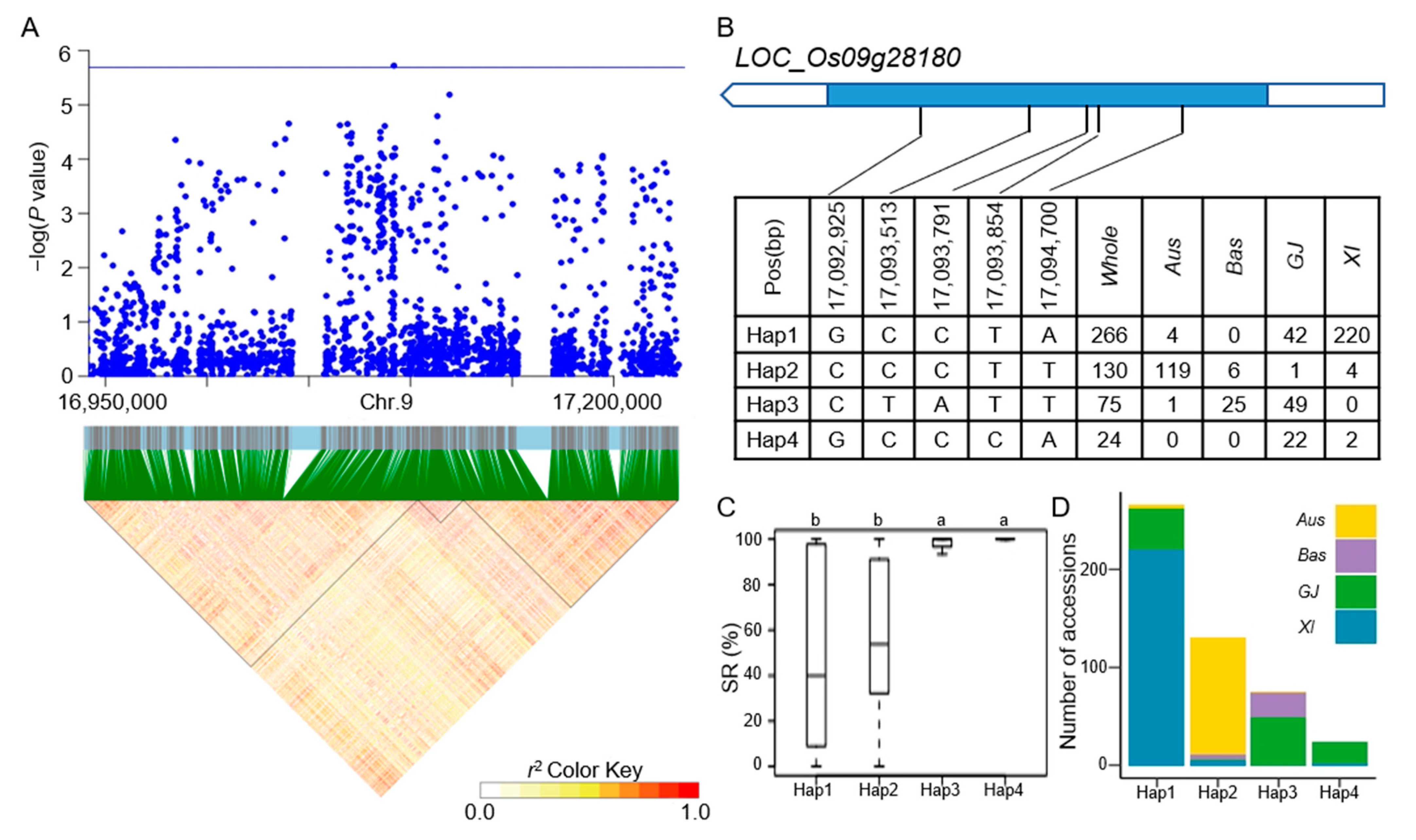 Agronomy 13 02945 g008