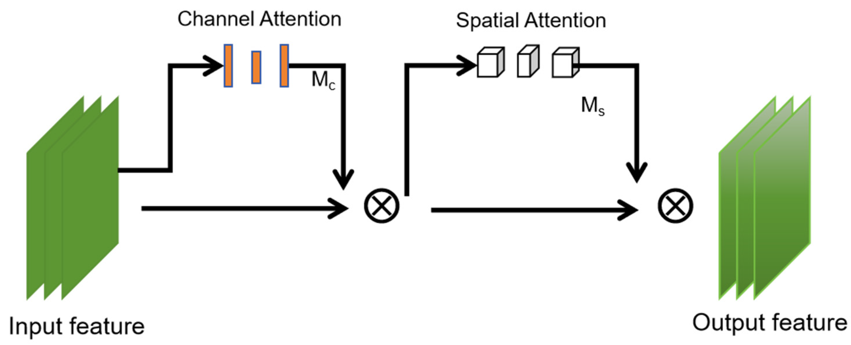 Agronomy 13 02952 g005