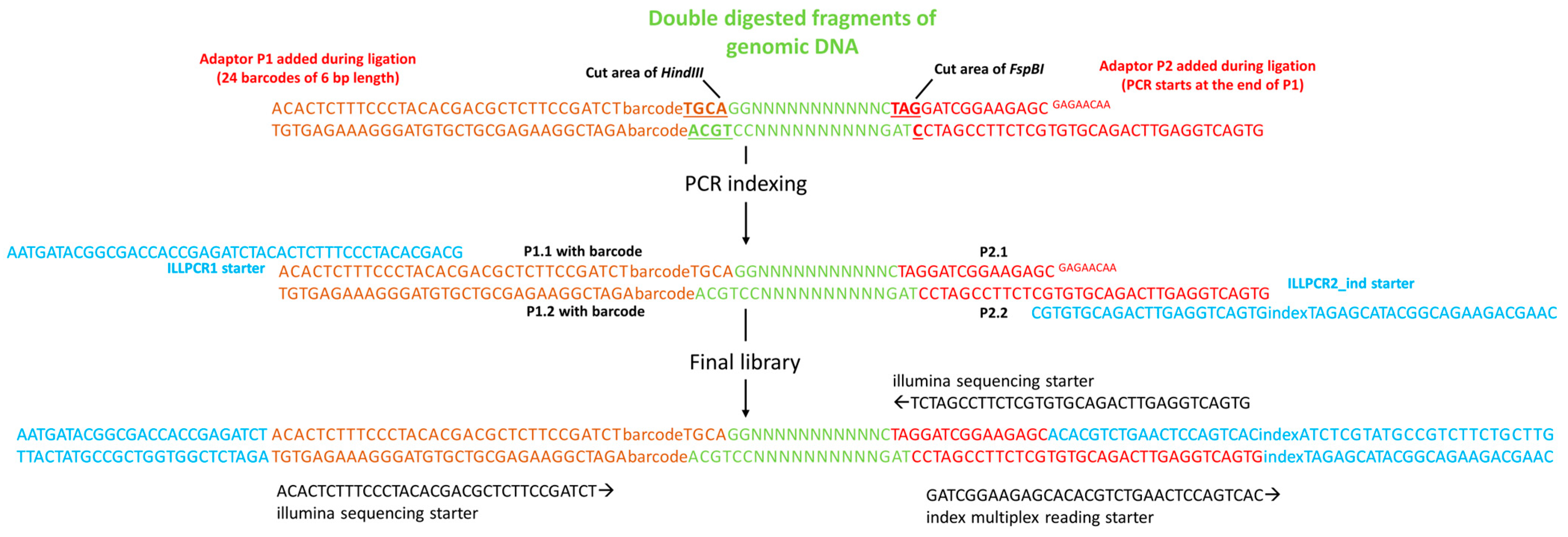 Agronomy 13 02956 g001