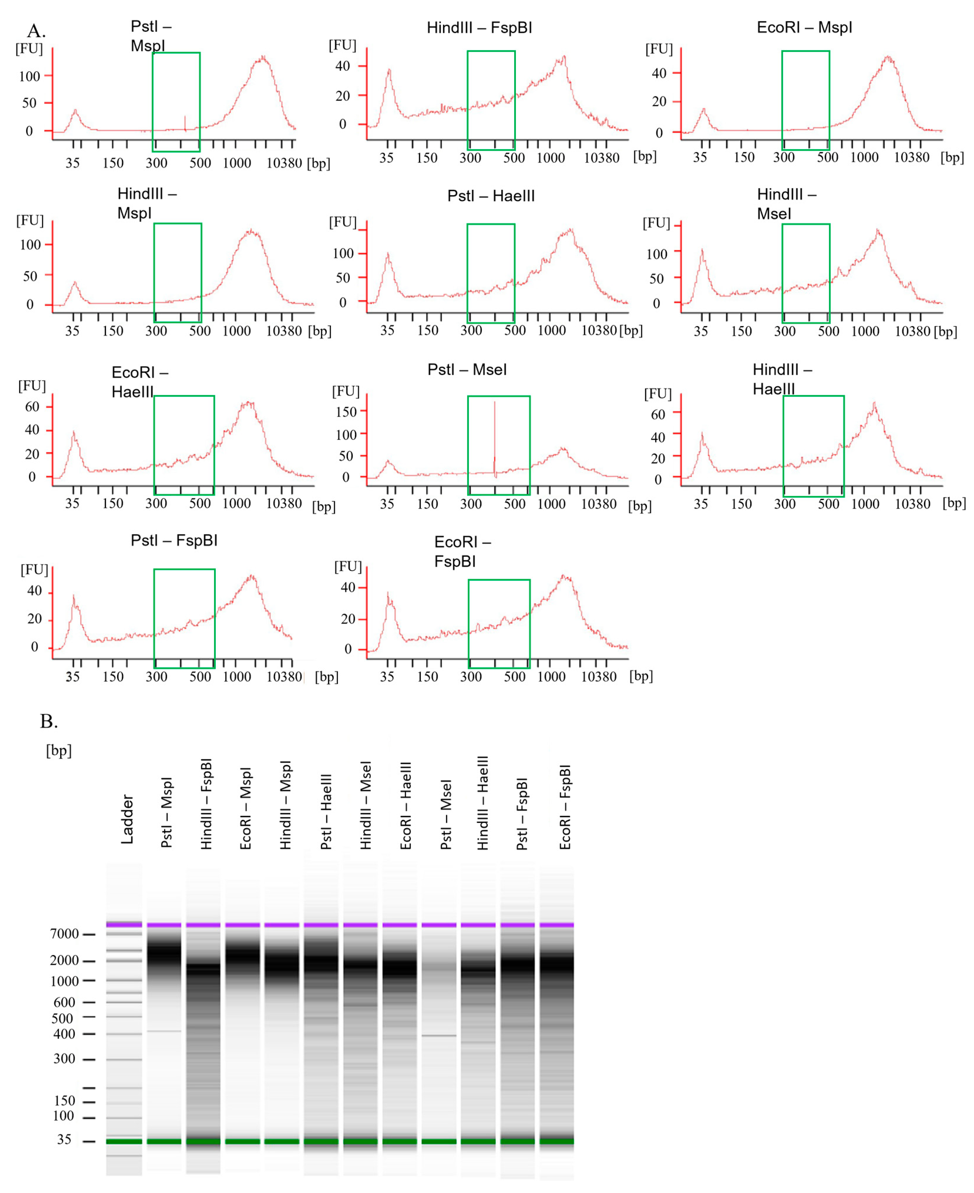 Agronomy 13 02956 g003