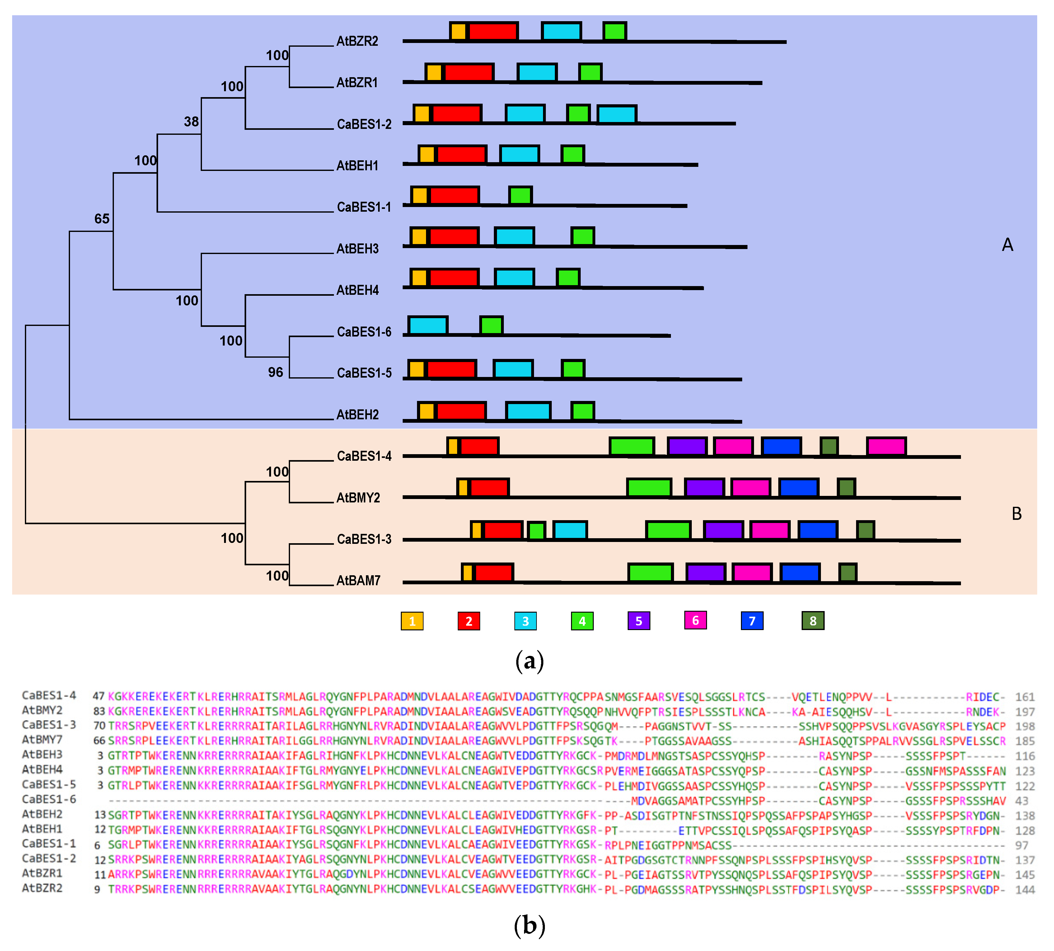 Agronomy 13 02963 g003