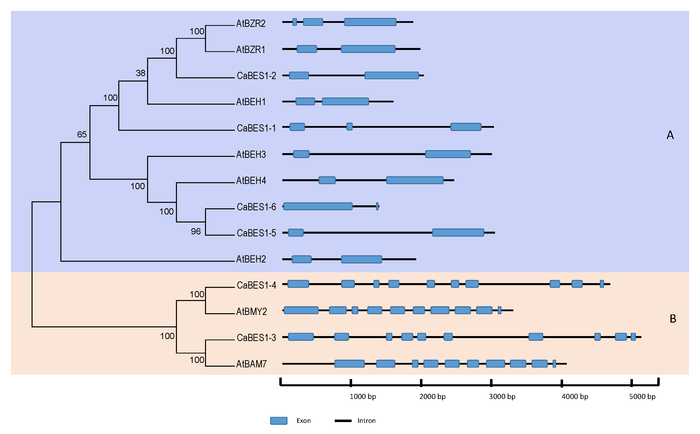 Agronomy 13 02963 g005