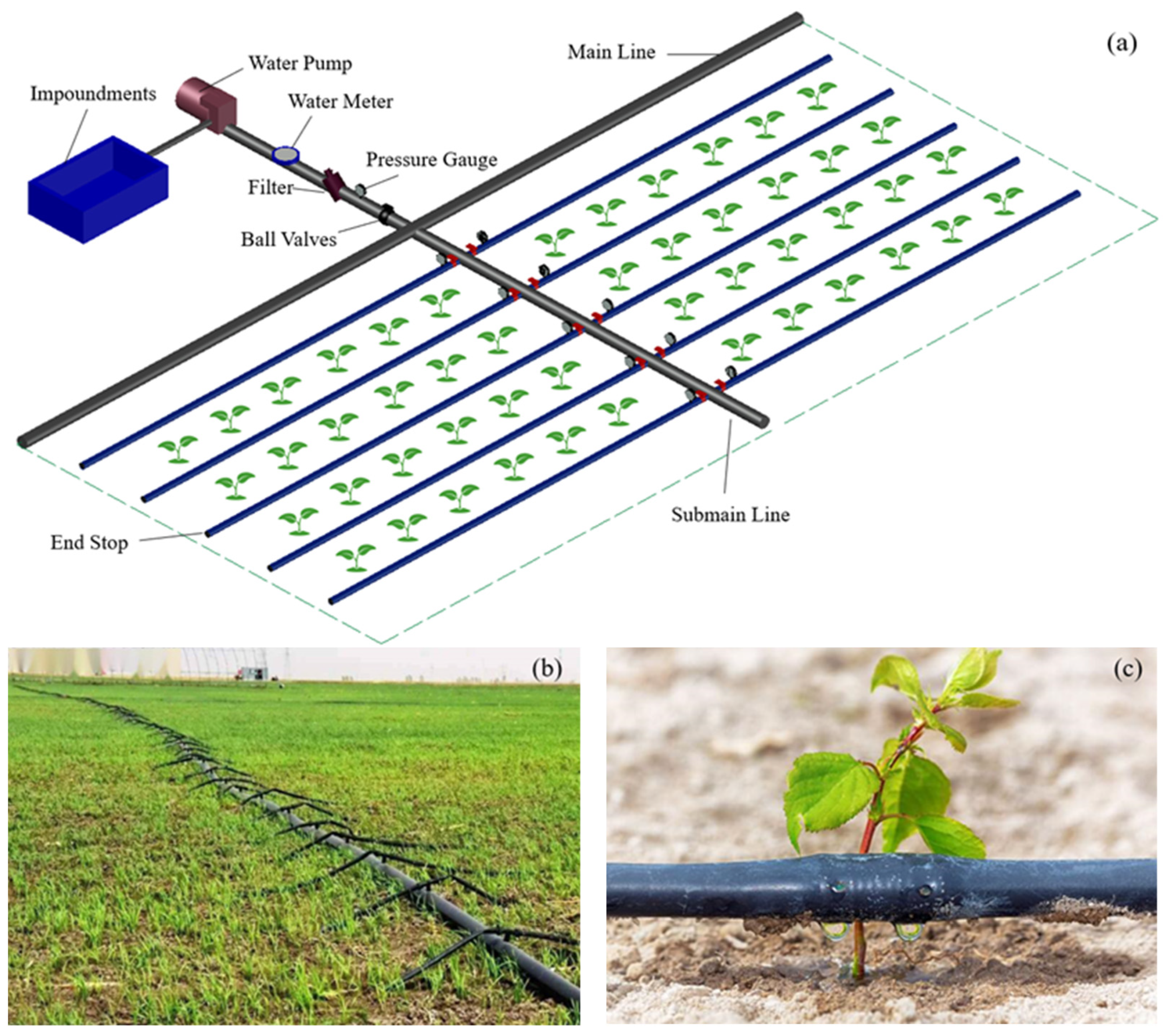 Agronomy 13 02966 g001