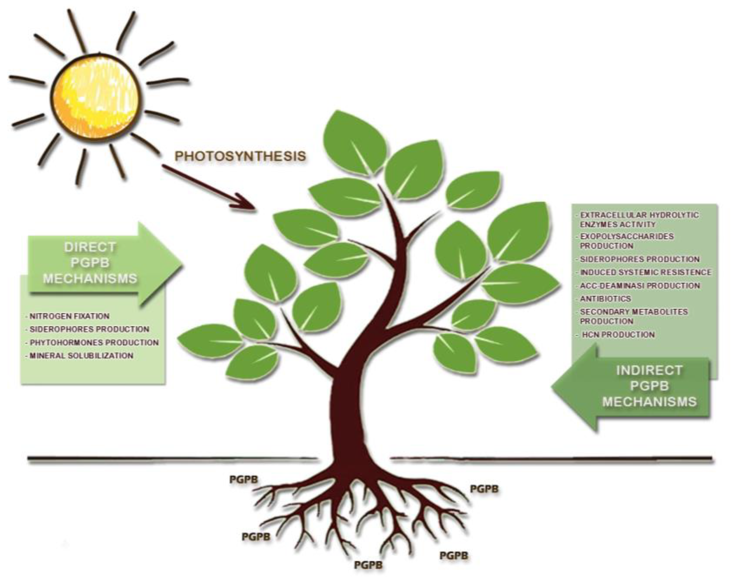 Agronomy 13 02983 g001
