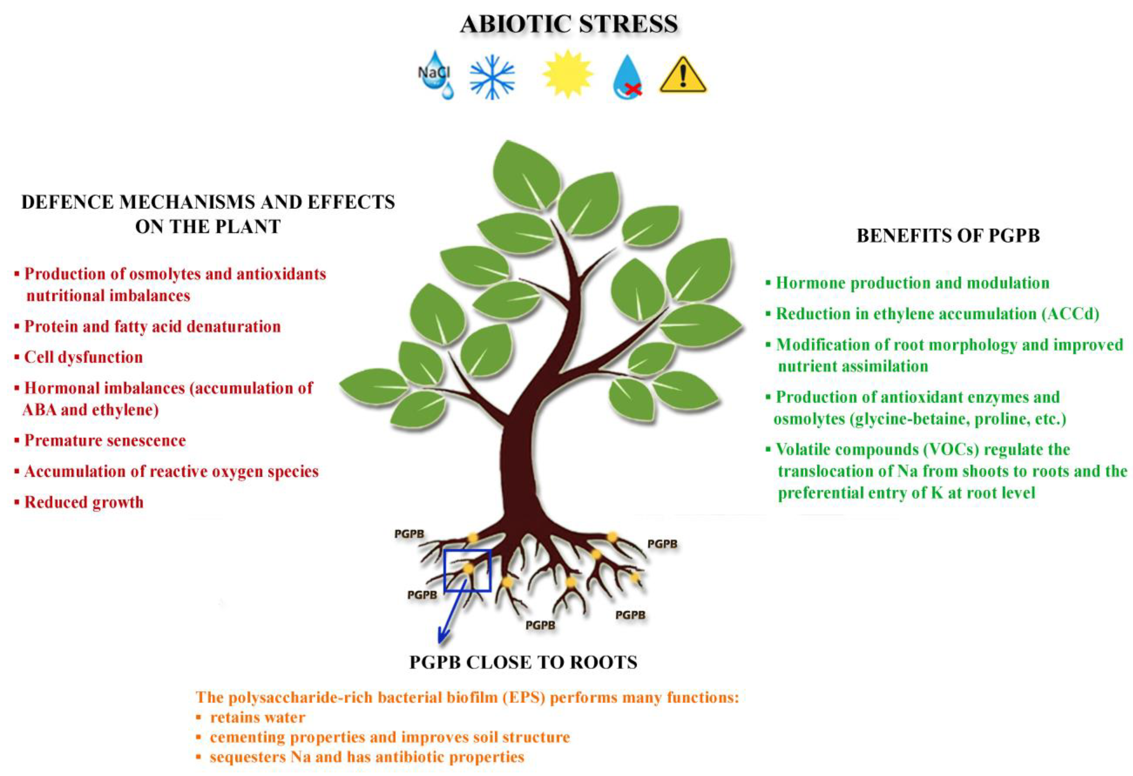 Agronomy 13 02983 g002