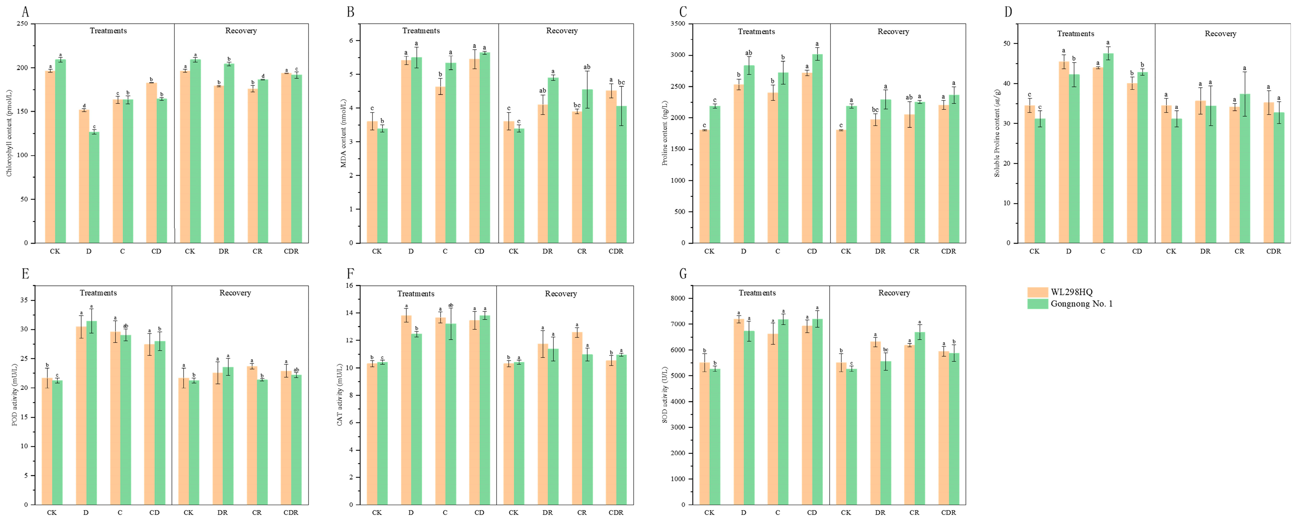 Agronomy 13 03002 g002