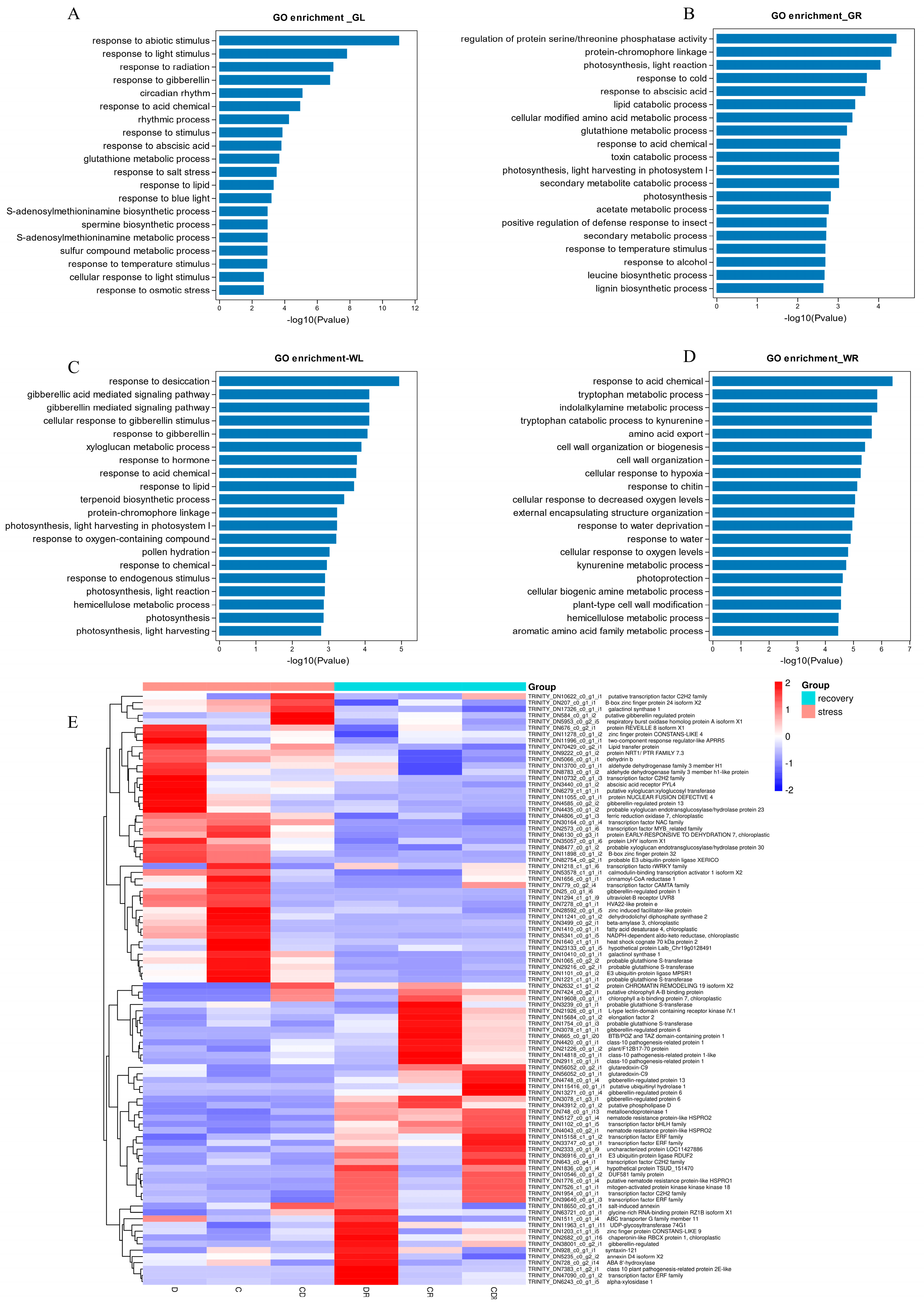 Agronomy 13 03002 g005