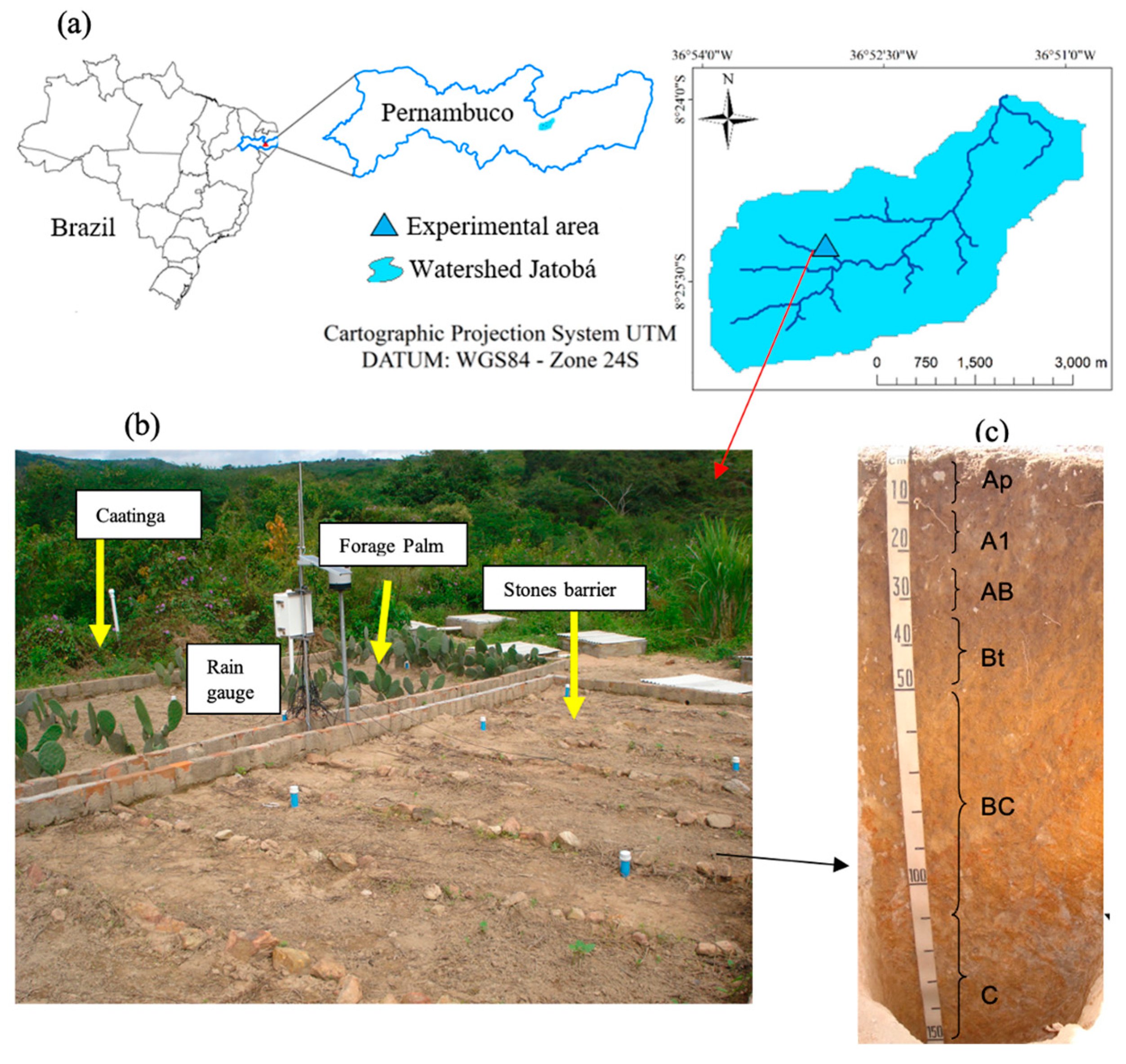 Agronomy 13 03026 g001