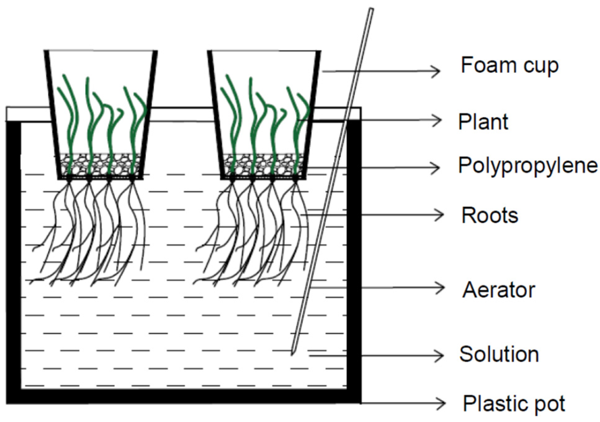 Agronomy 13 03035 g0a1