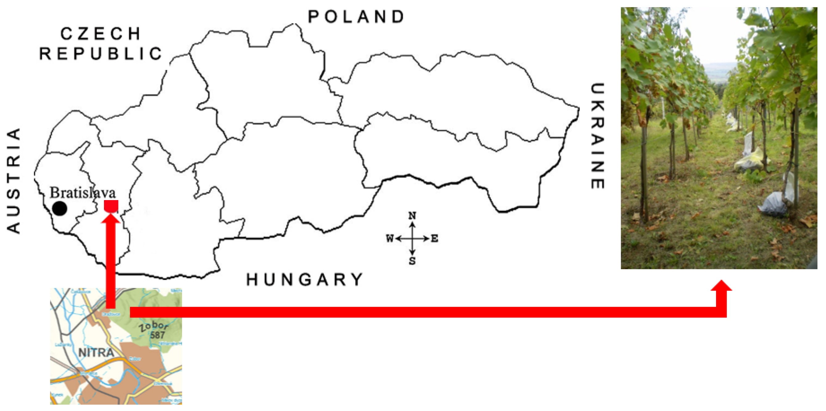 Agronomy 13 03042 g001