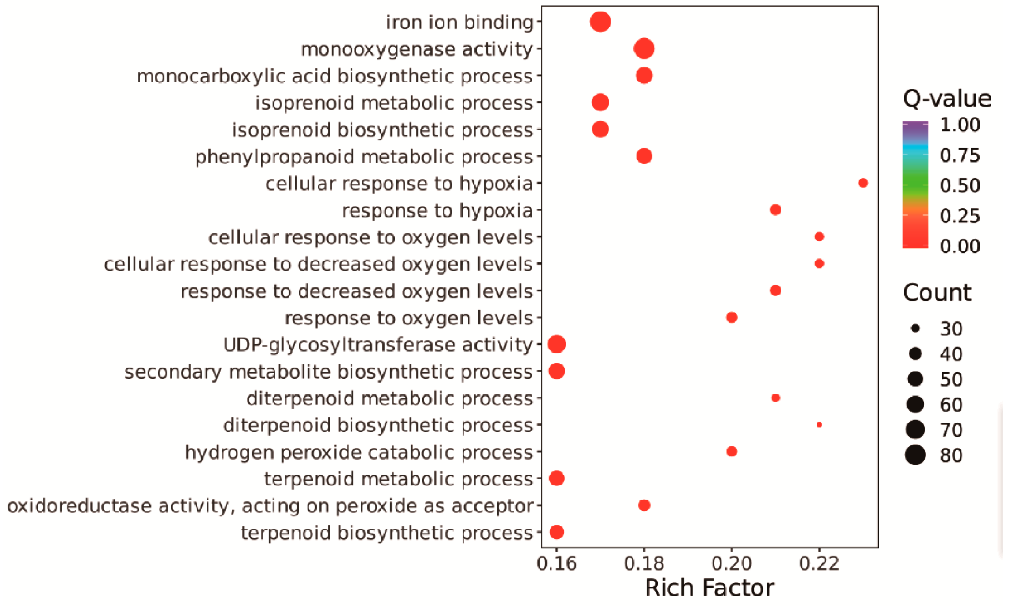 Agronomy 13 03066 g003