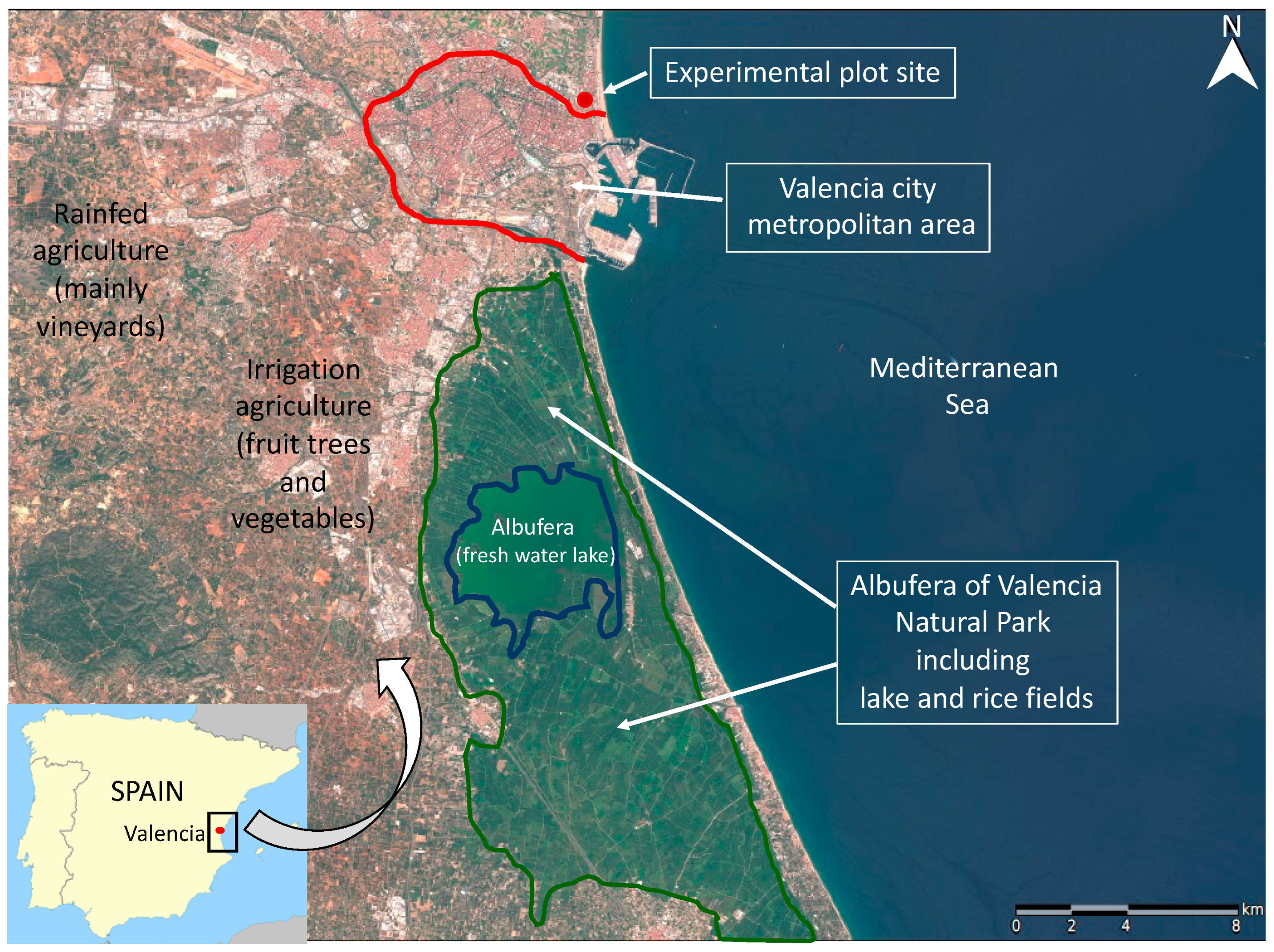 Agronomy 13 03068 g001