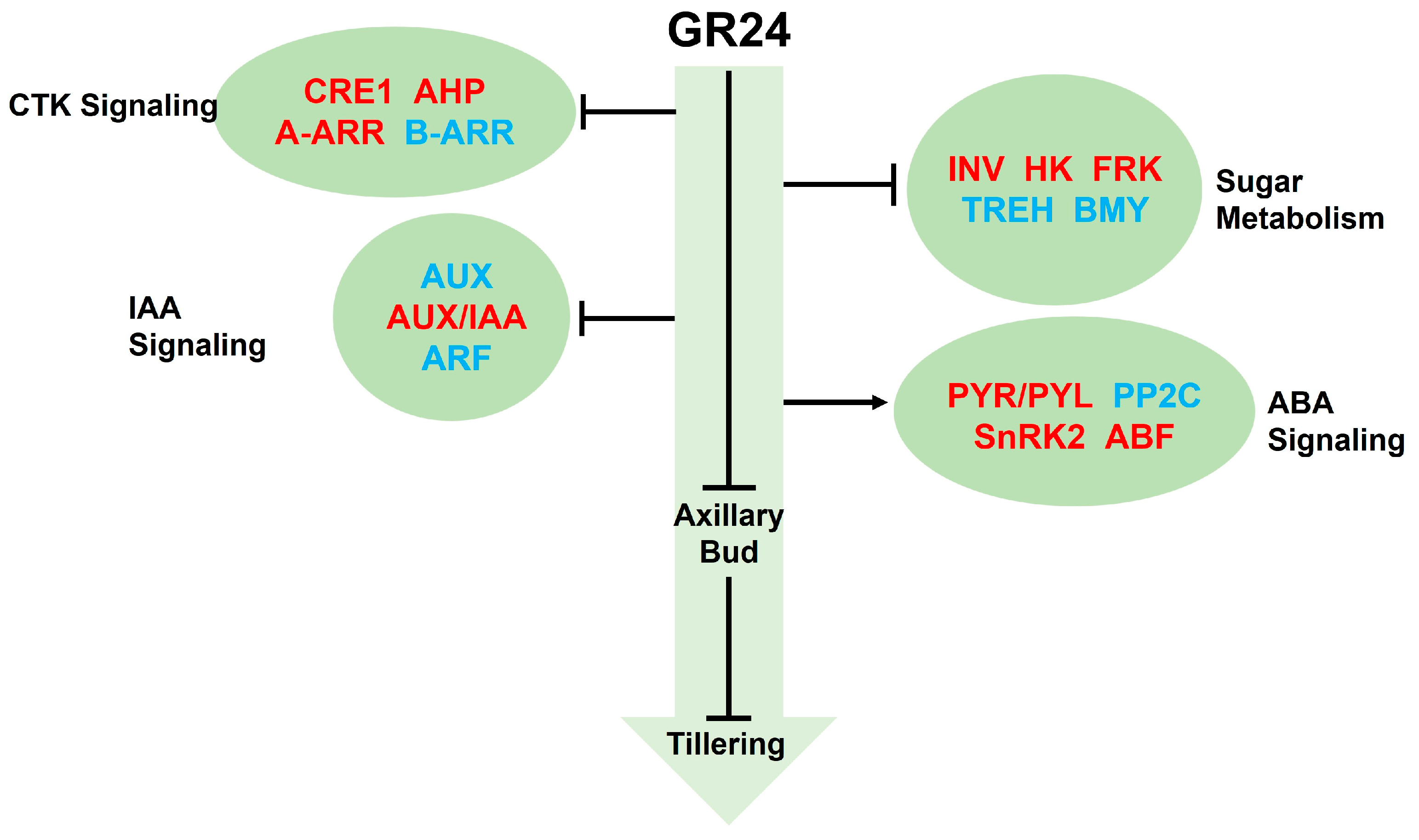 Agronomy 13 03078 g011 Agronomy 13 03078 g011