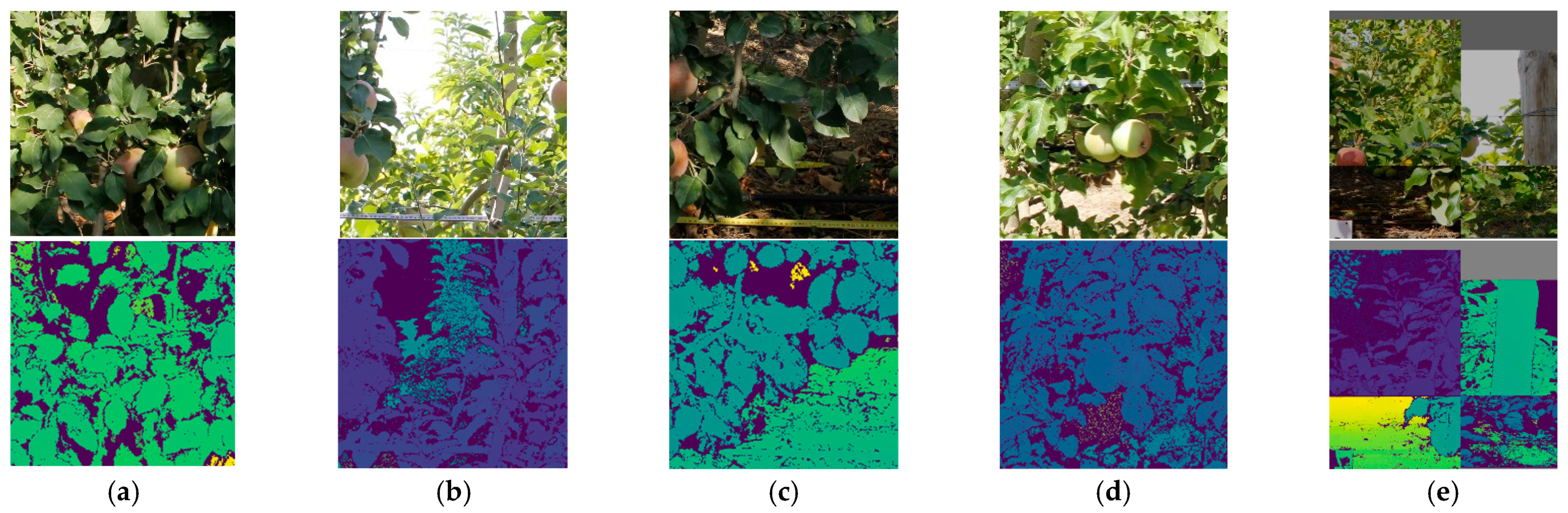 Agronomy 13 03080 g001