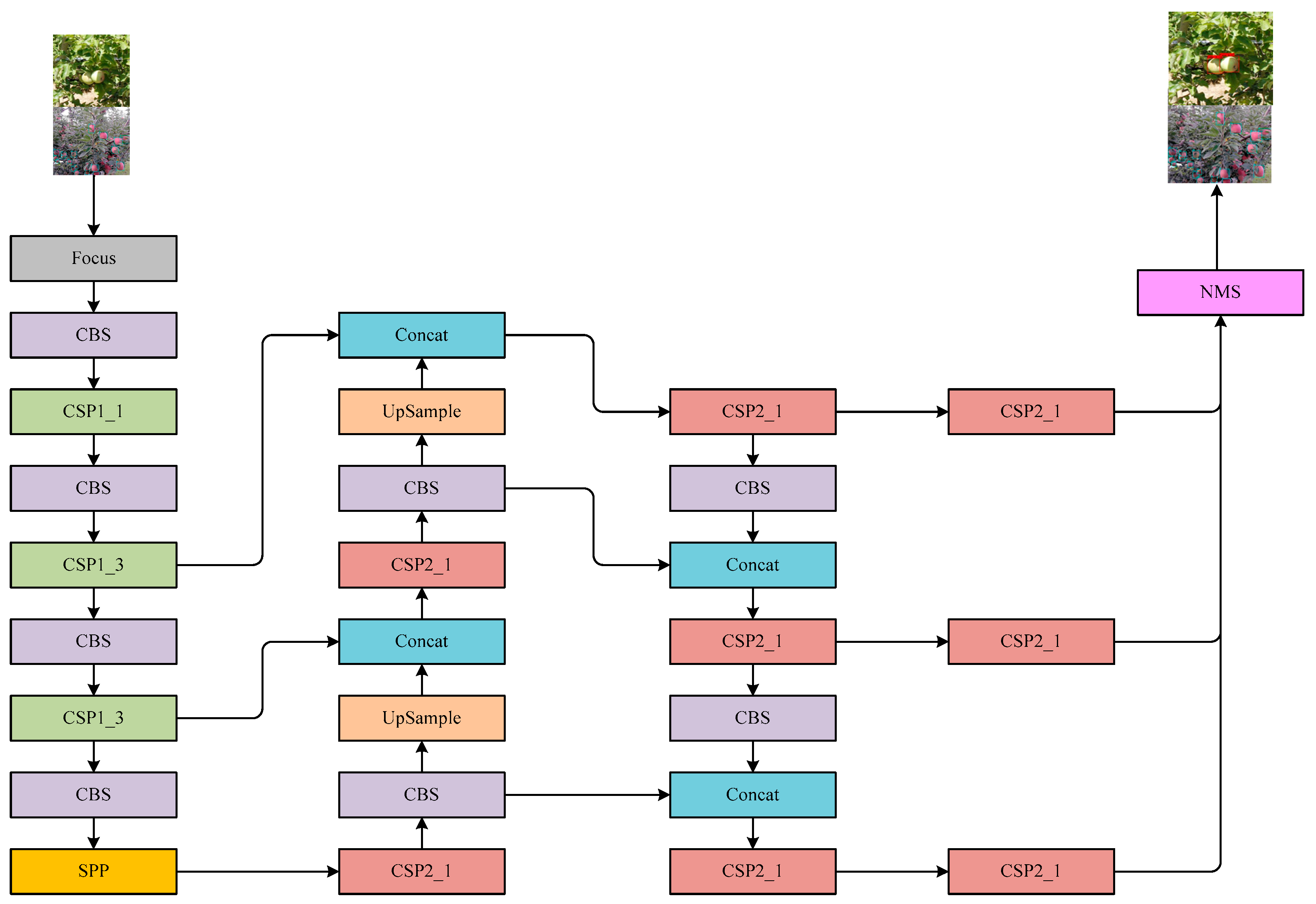 Agronomy 13 03080 g008