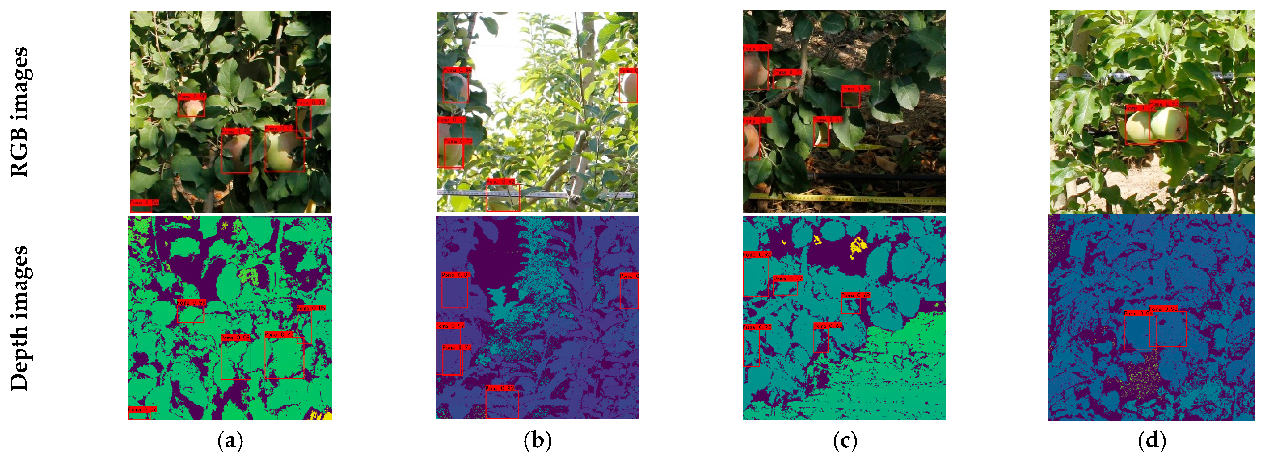 Agronomy 13 03080 g014
