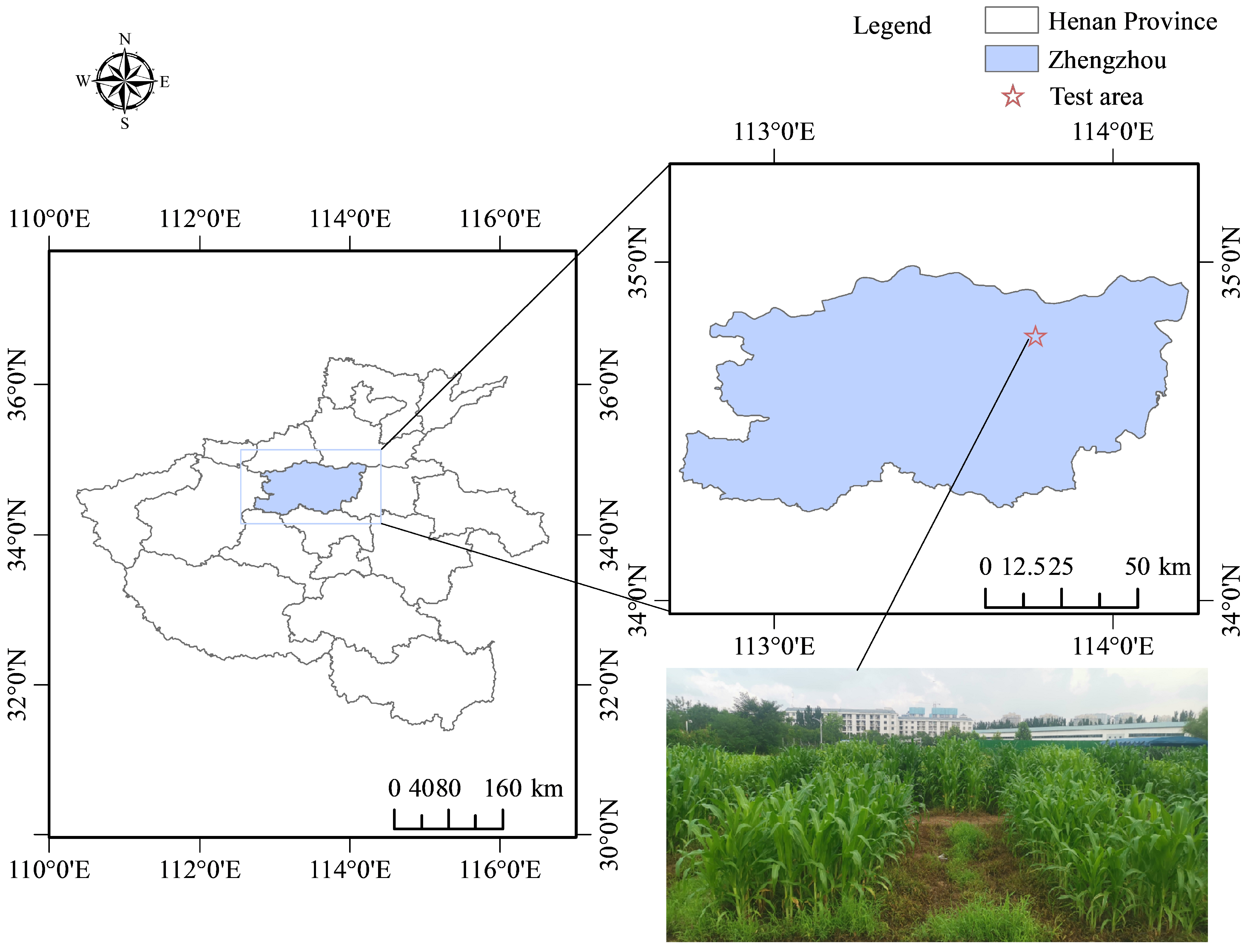 Agronomy 13 03081 g001