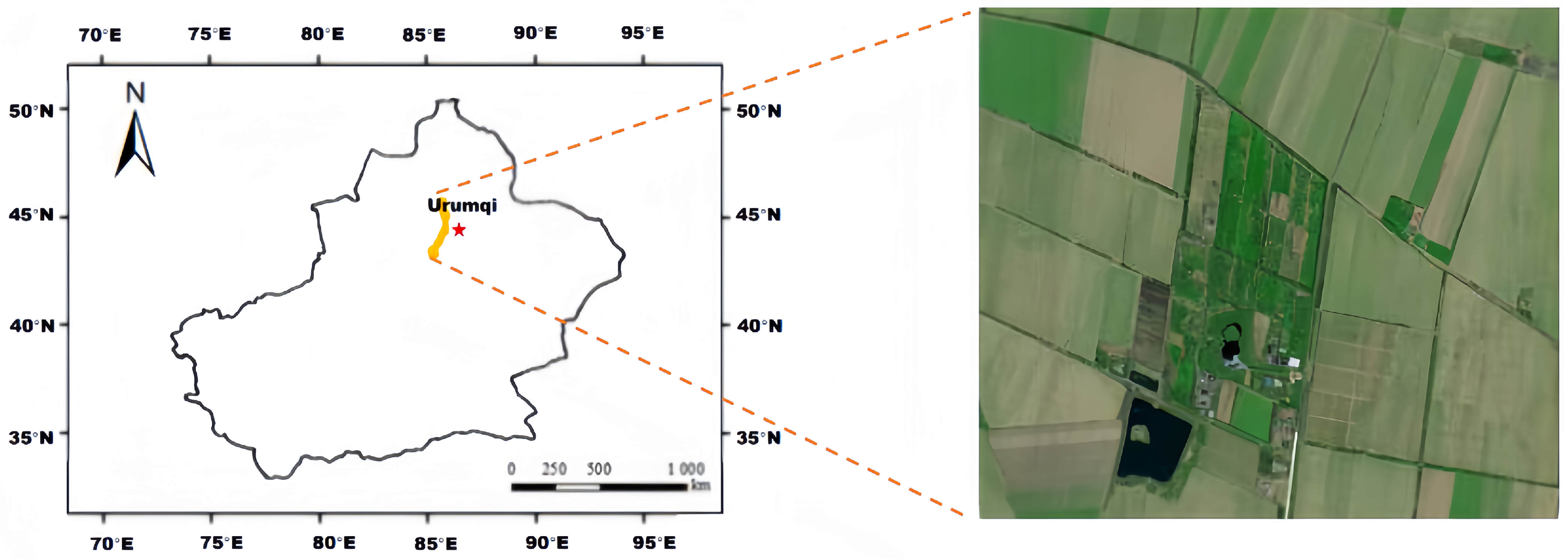 Agronomy 14 00011 g004
