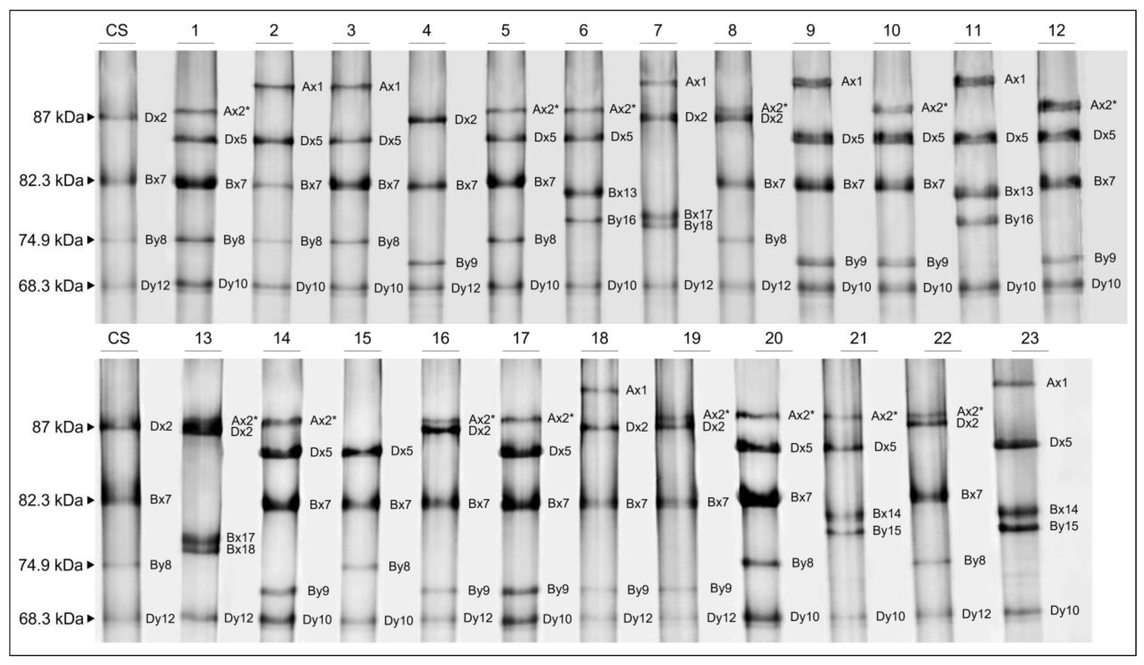 Agronomy 14 00013 g002