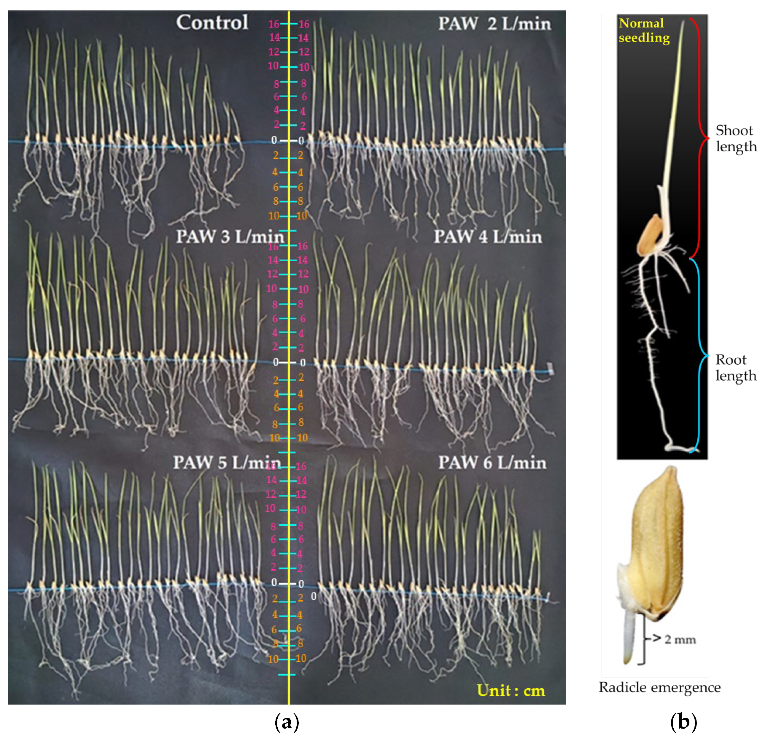 Agronomy 14 00015 g008