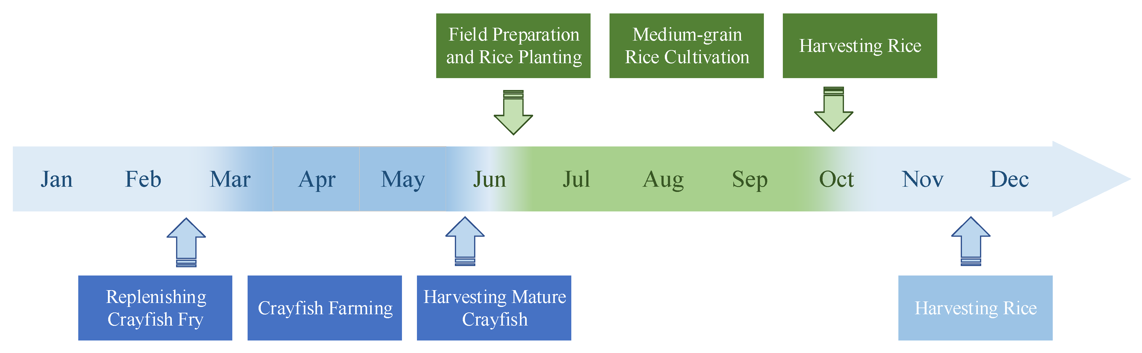 Agronomy 14 00016 g002