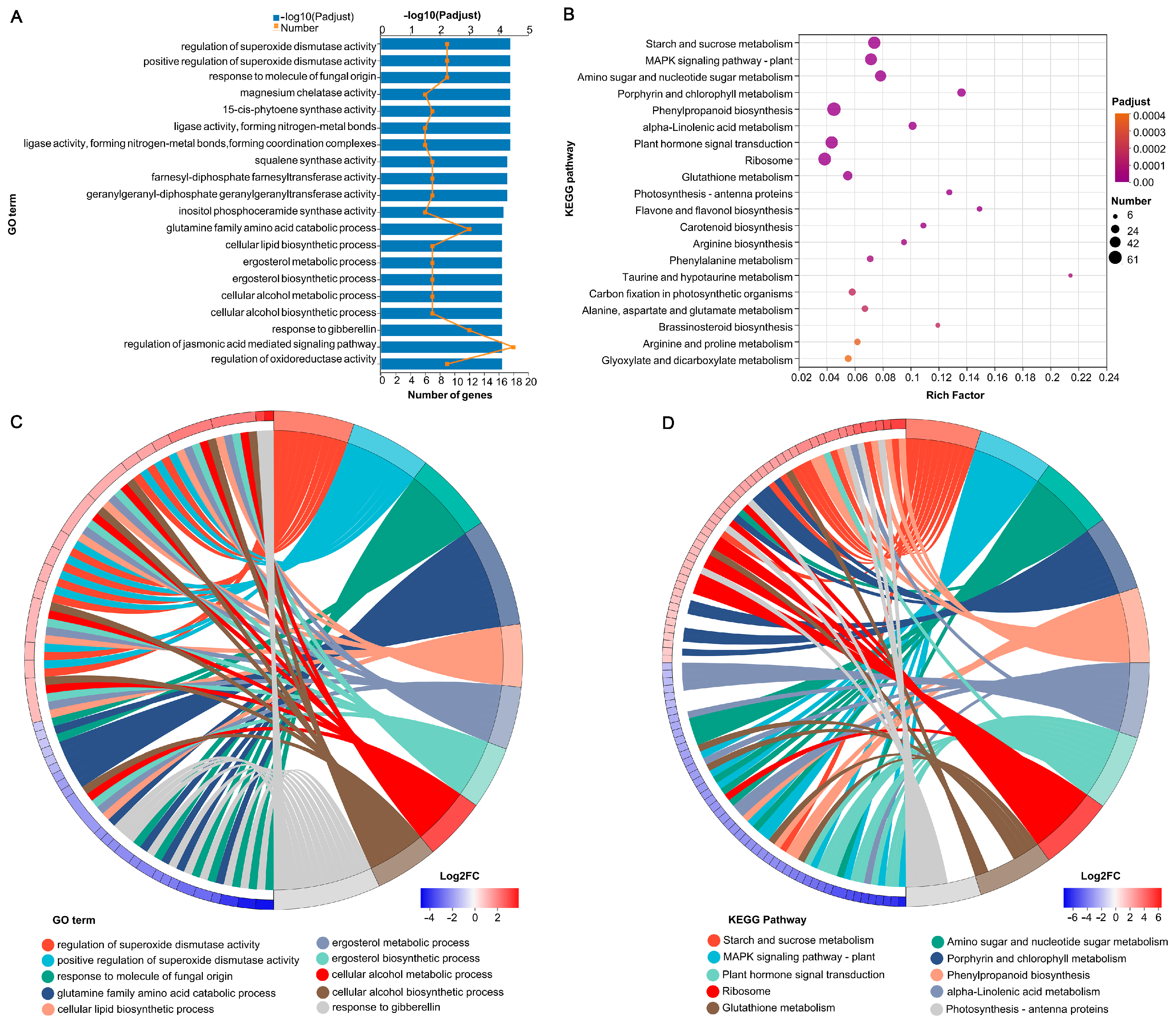 Agronomy 14 00022 g006