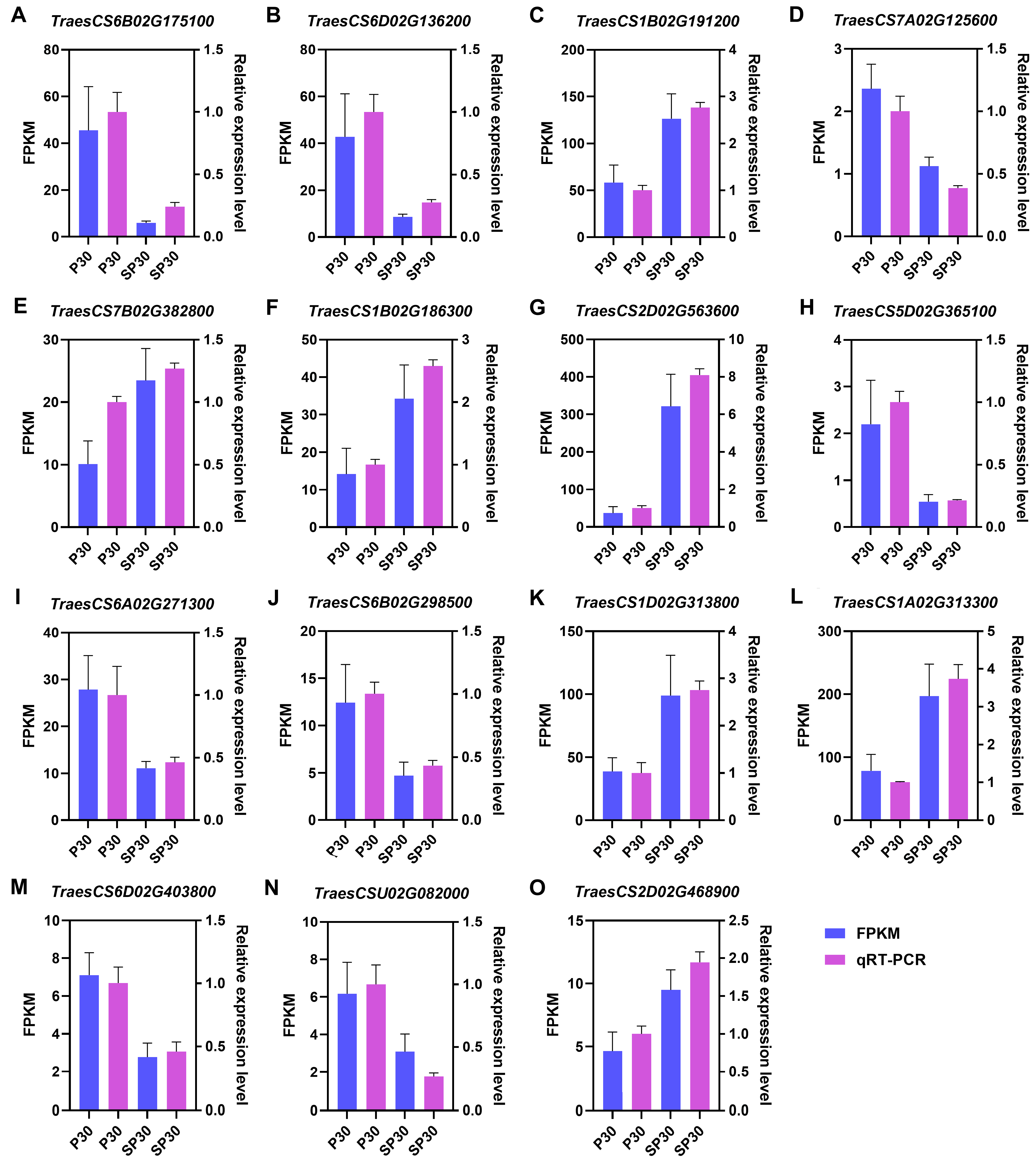 Agronomy 14 00022 g008