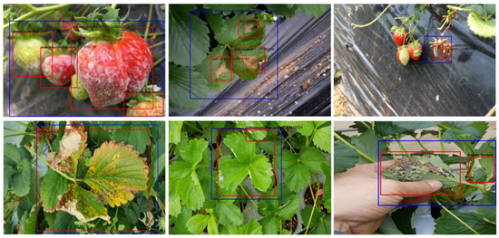 Agronomy 14 00034 g004