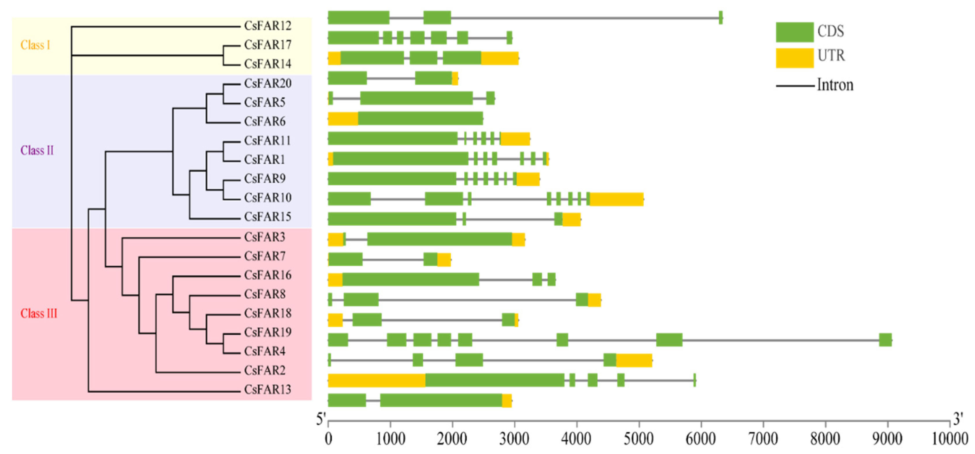 Agronomy 14 00050 g001