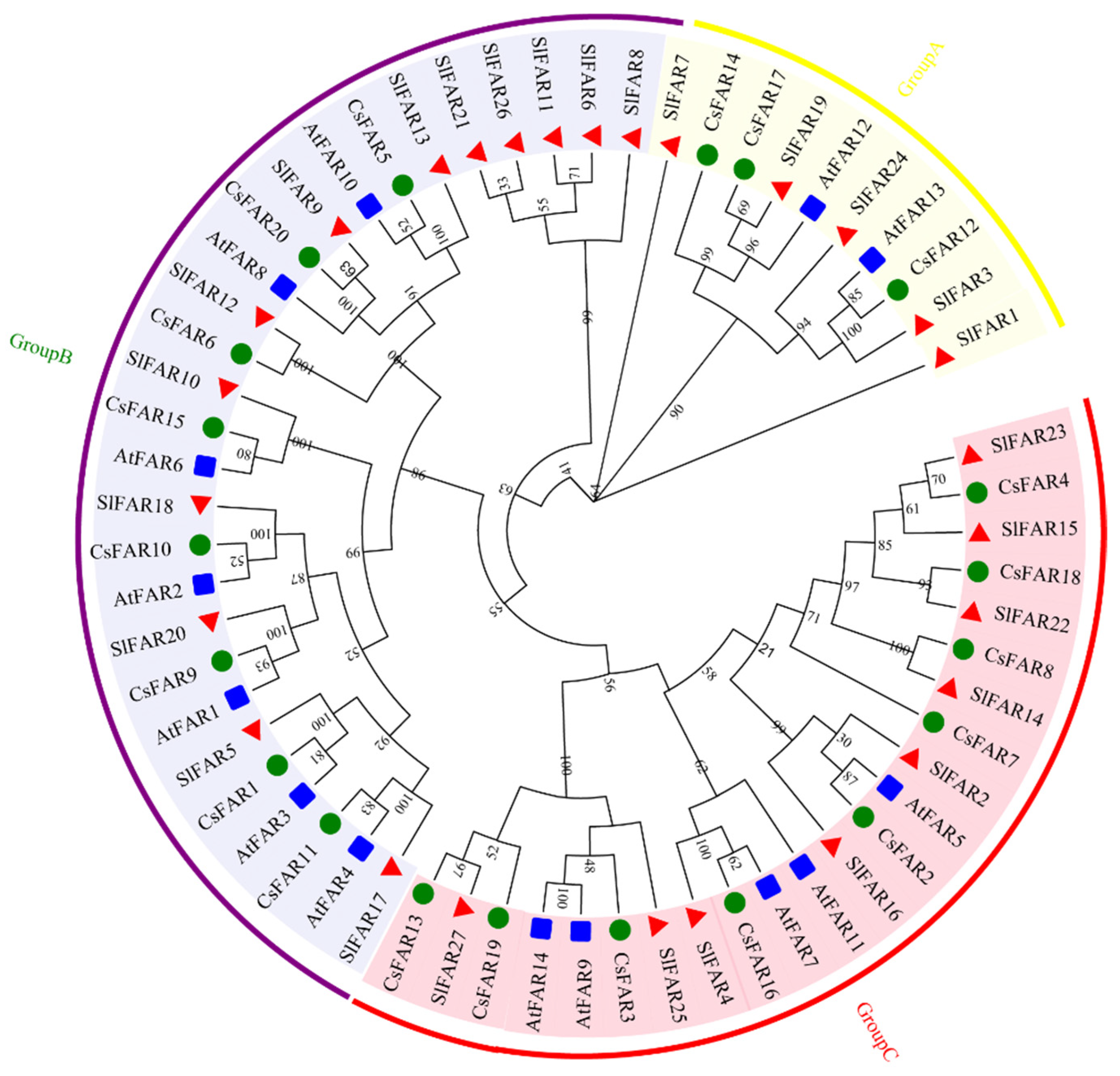Agronomy 14 00050 g004