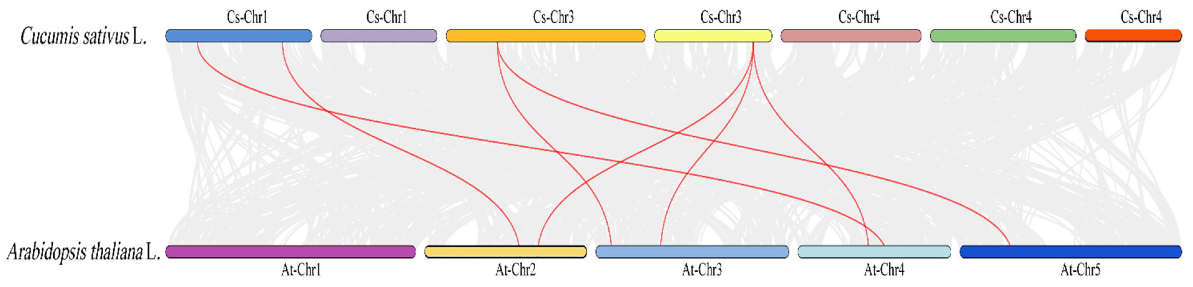 Agronomy 14 00050 g005