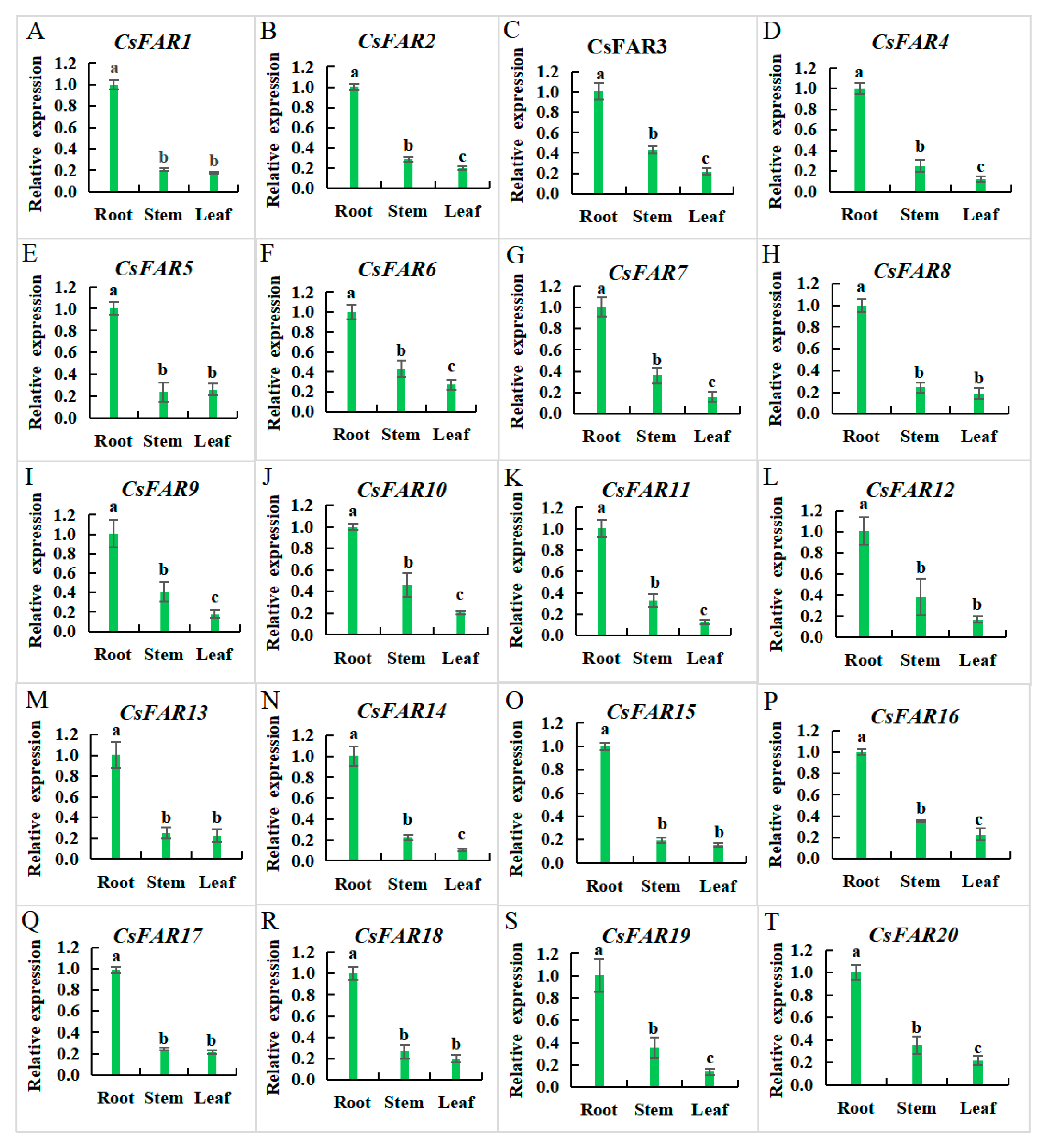 Agronomy 14 00050 g007