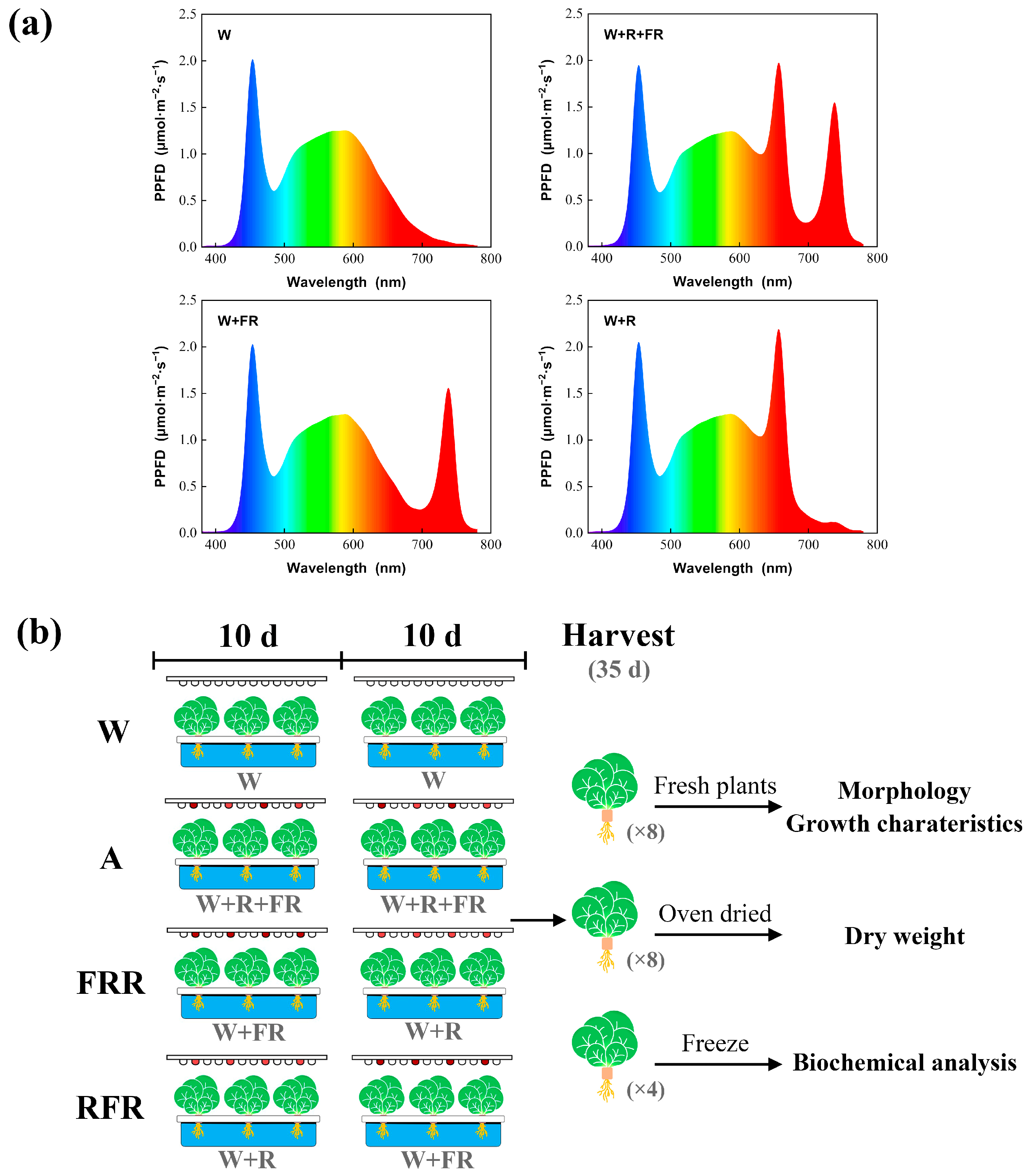 Agronomy 14 00055 g001