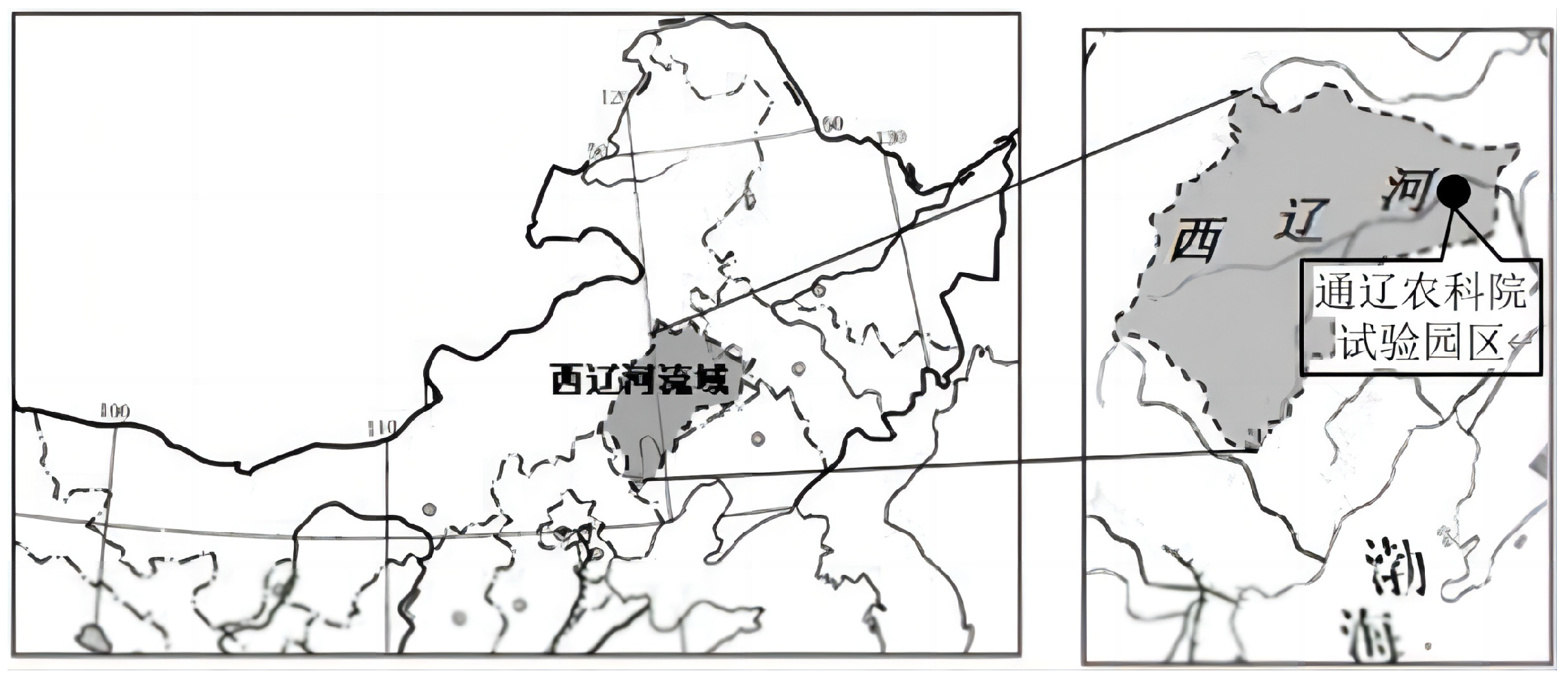 Agronomy 14 00063 g001