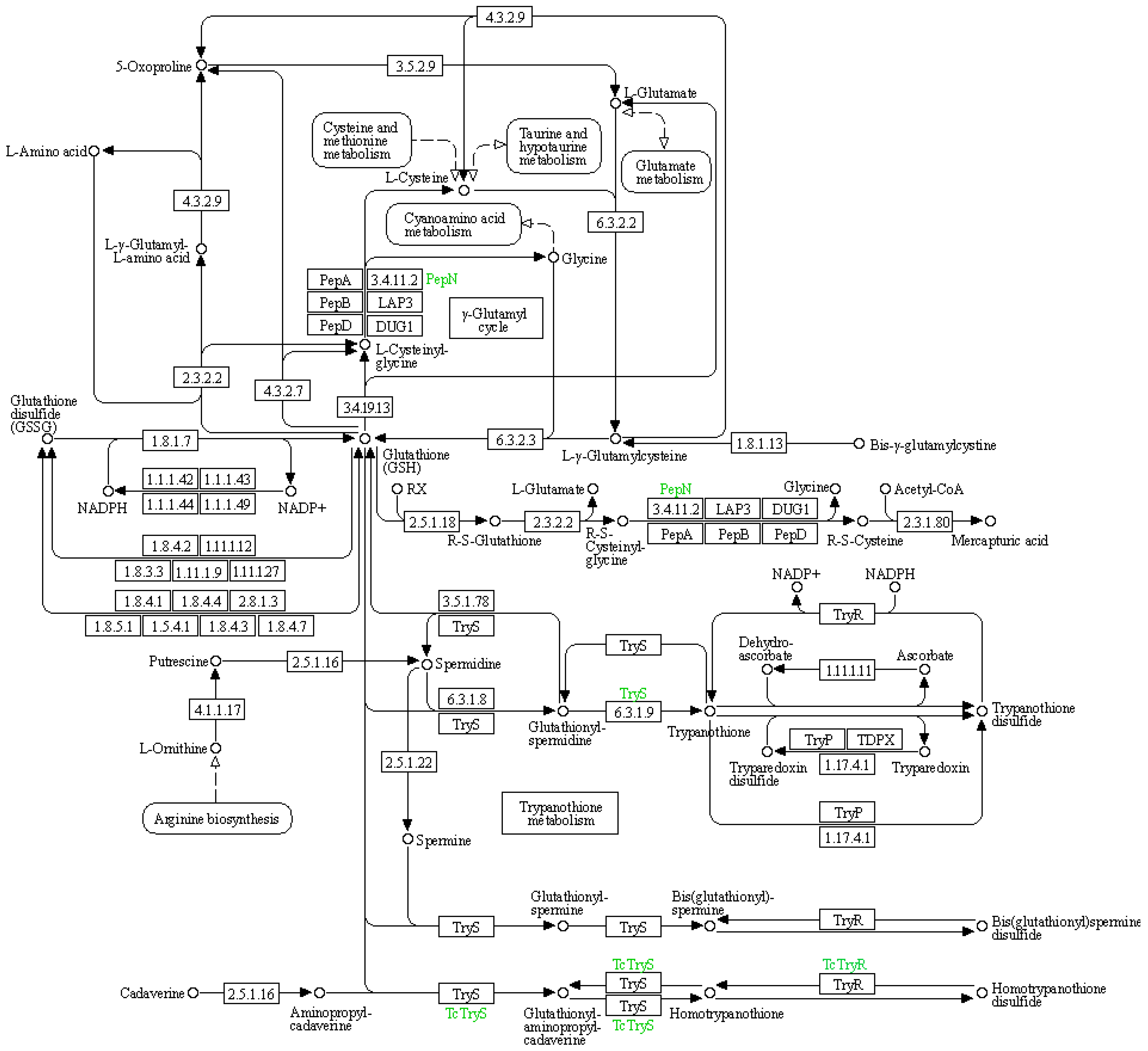 Agronomy 14 00078 g007