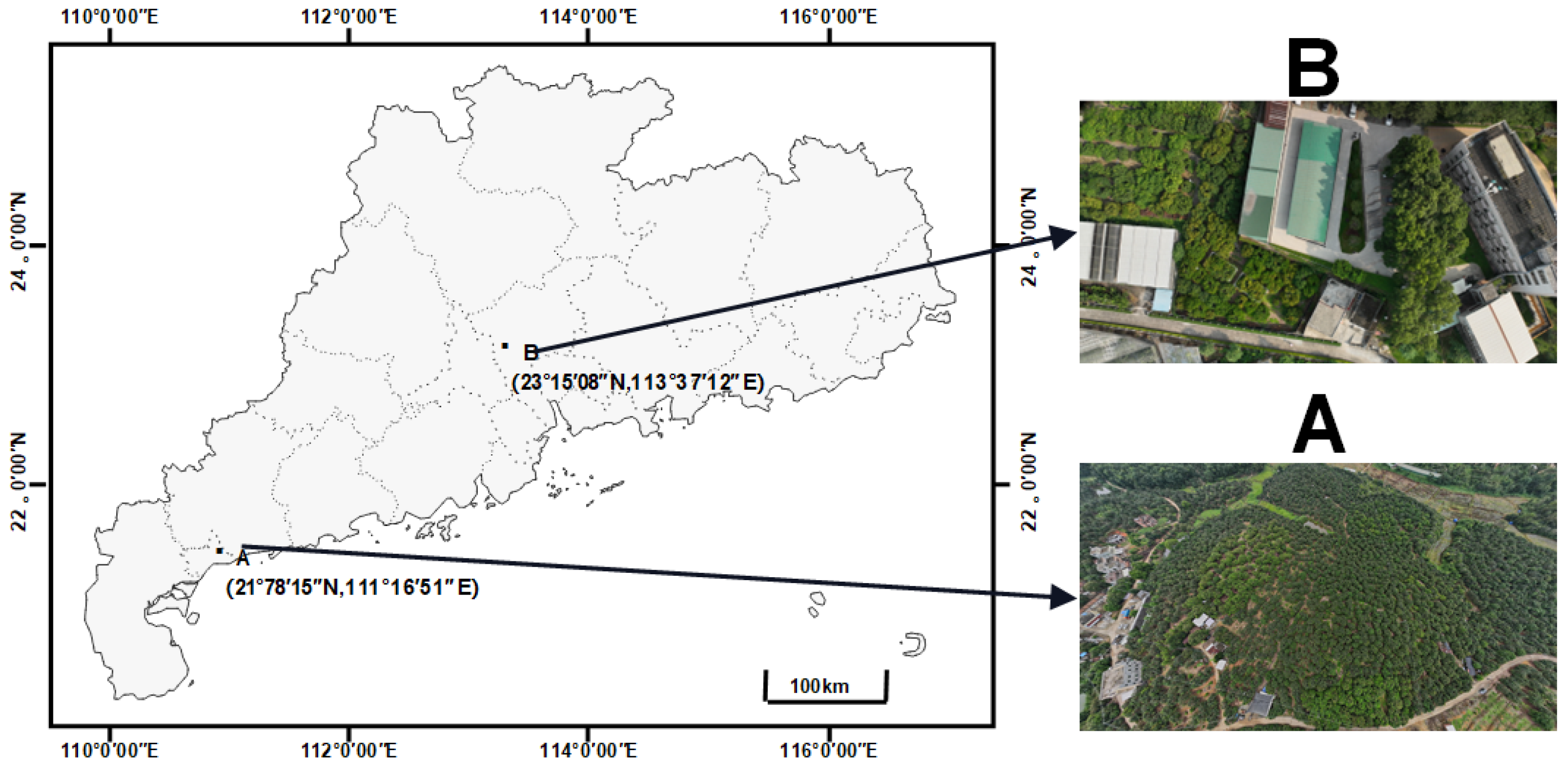 Agronomy 14 00095 g001
