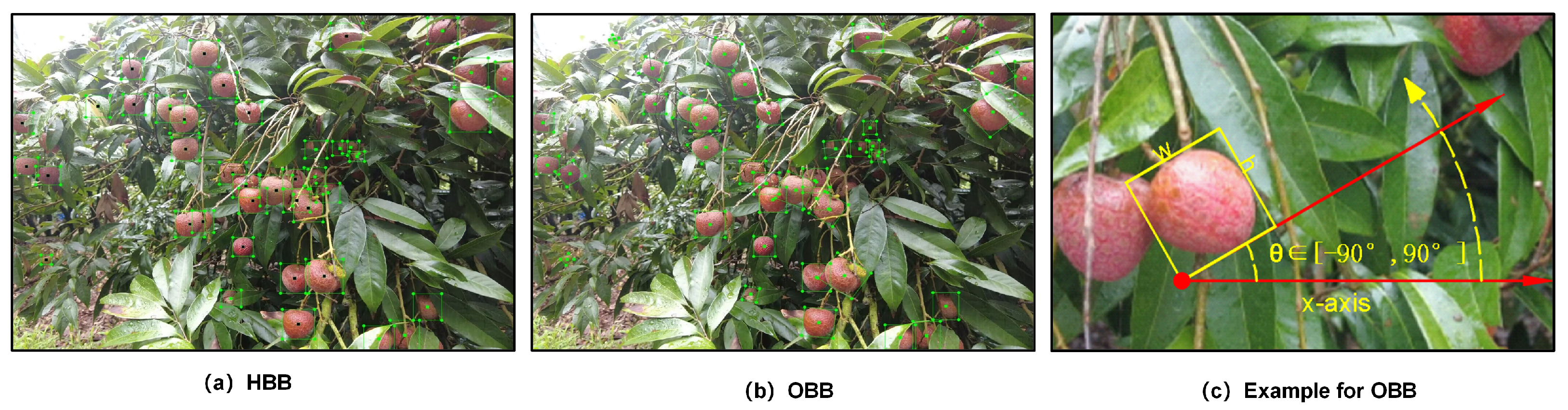 Agronomy 14 00095 g002